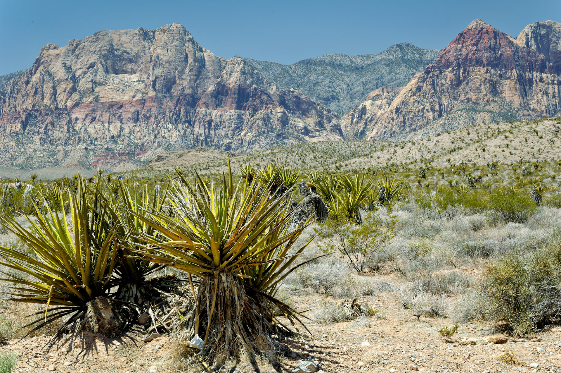 NV_20070531_0087_PS