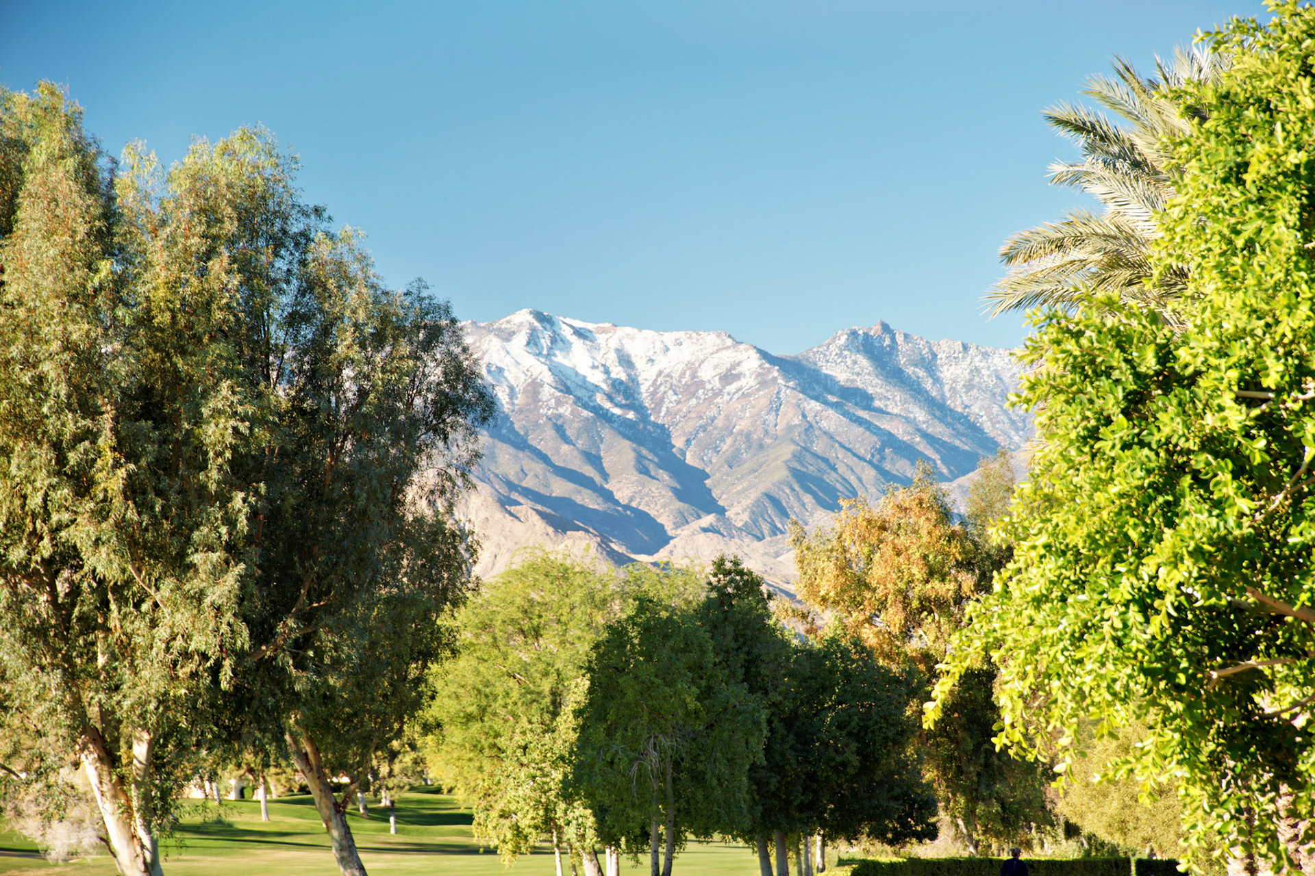 CA_PalmSprings_20090116_0301_PS