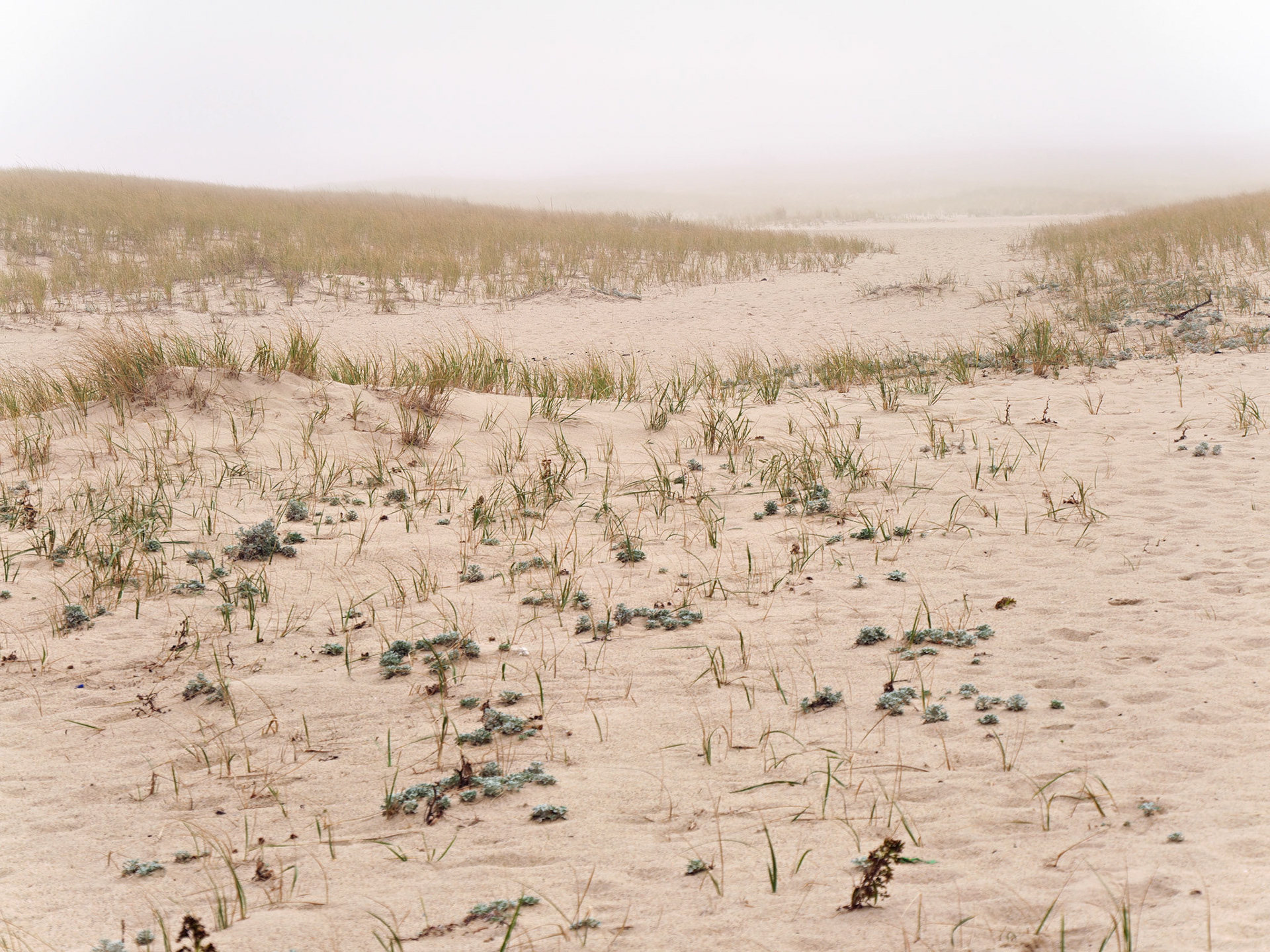 MA_CapeCod_20151029_0329_PS