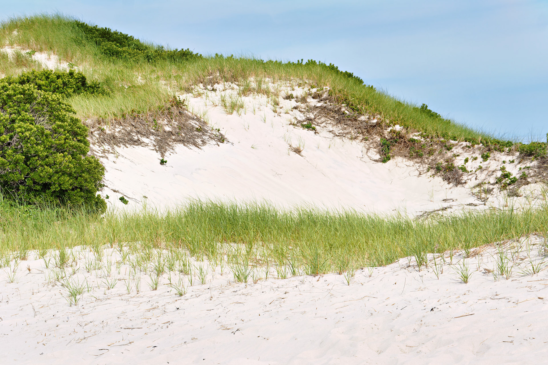 MA_CapeCod_20150717_0053_PS