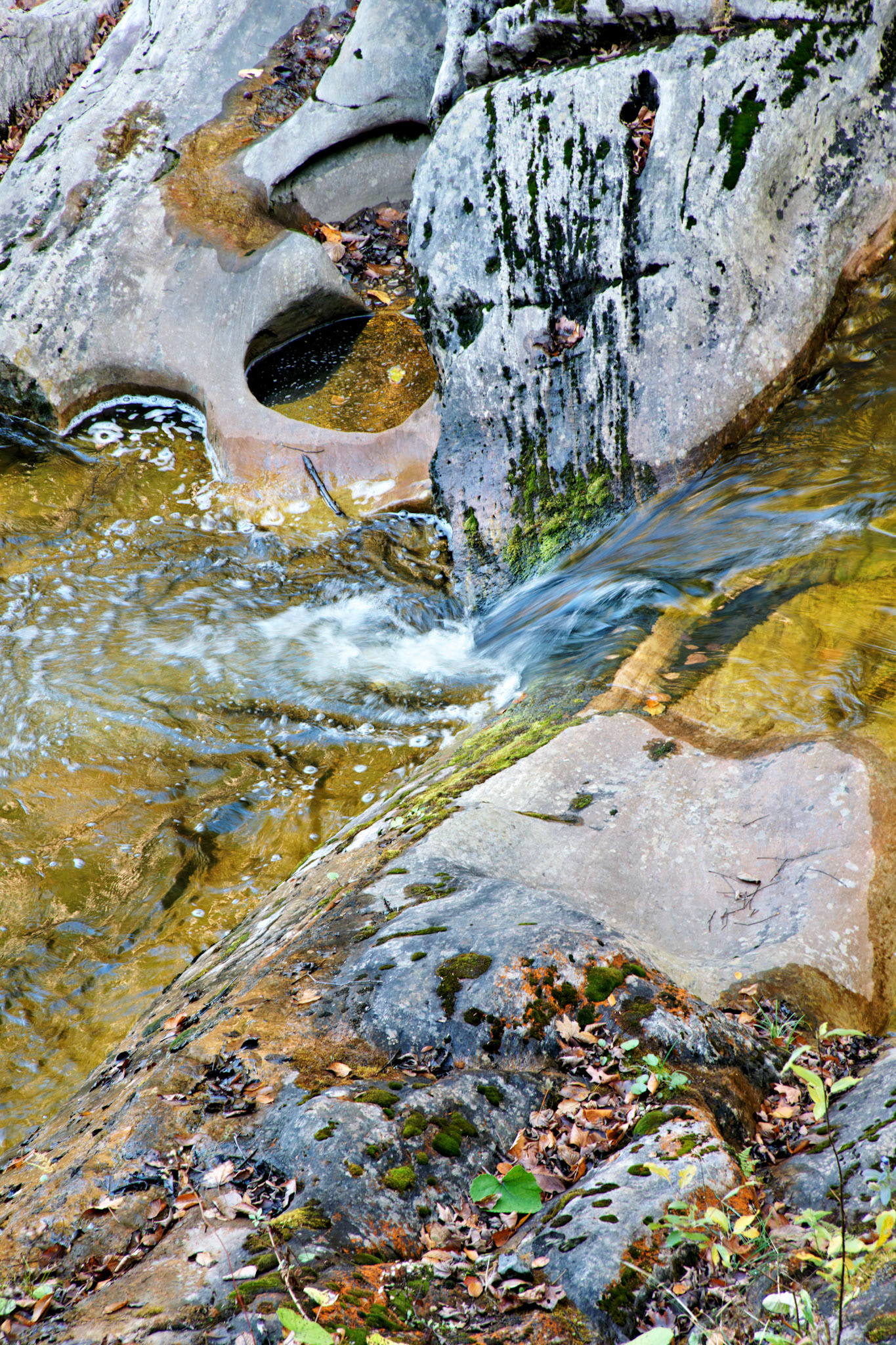 SONY DSC