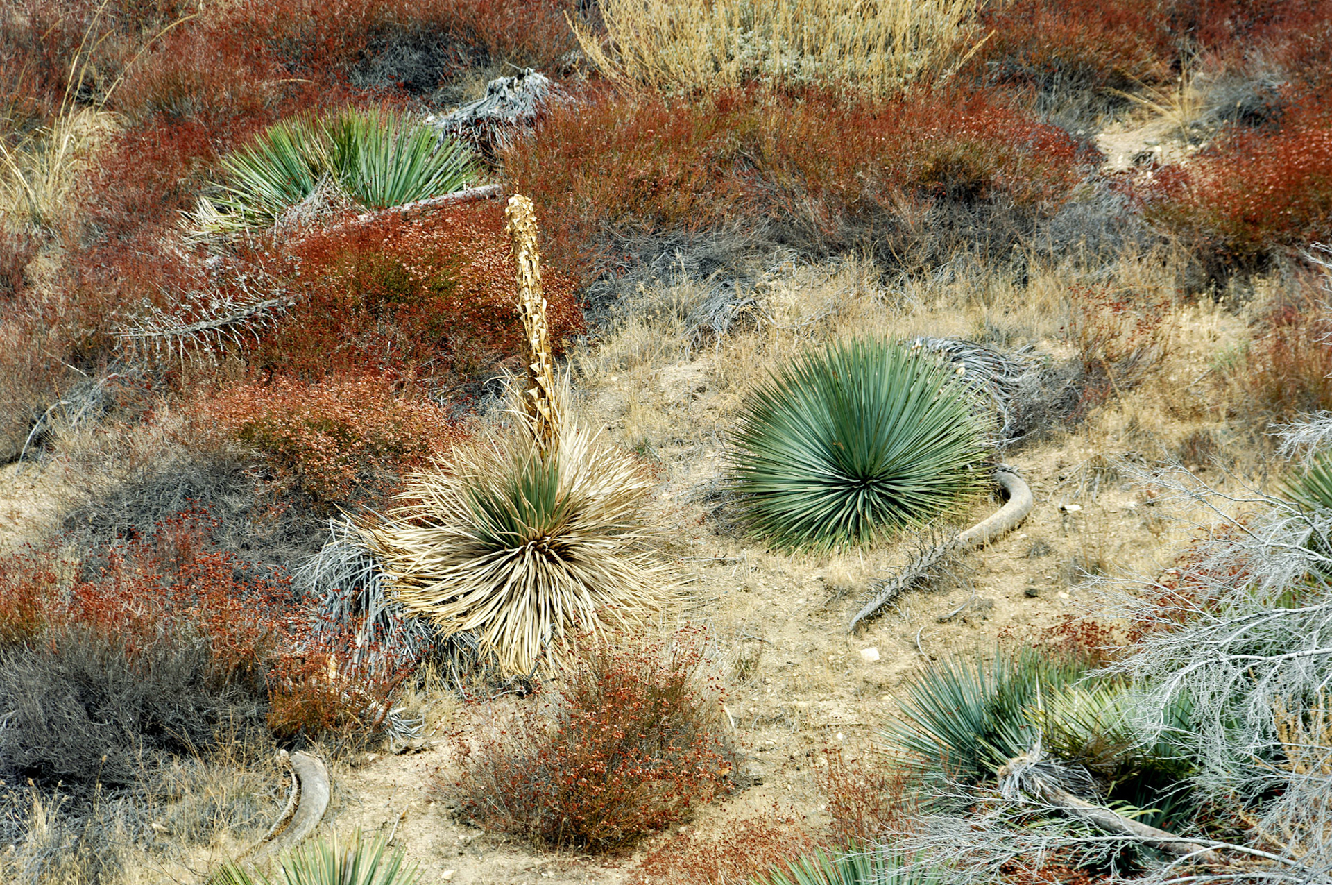 CA_LA_20051220_0268_PS