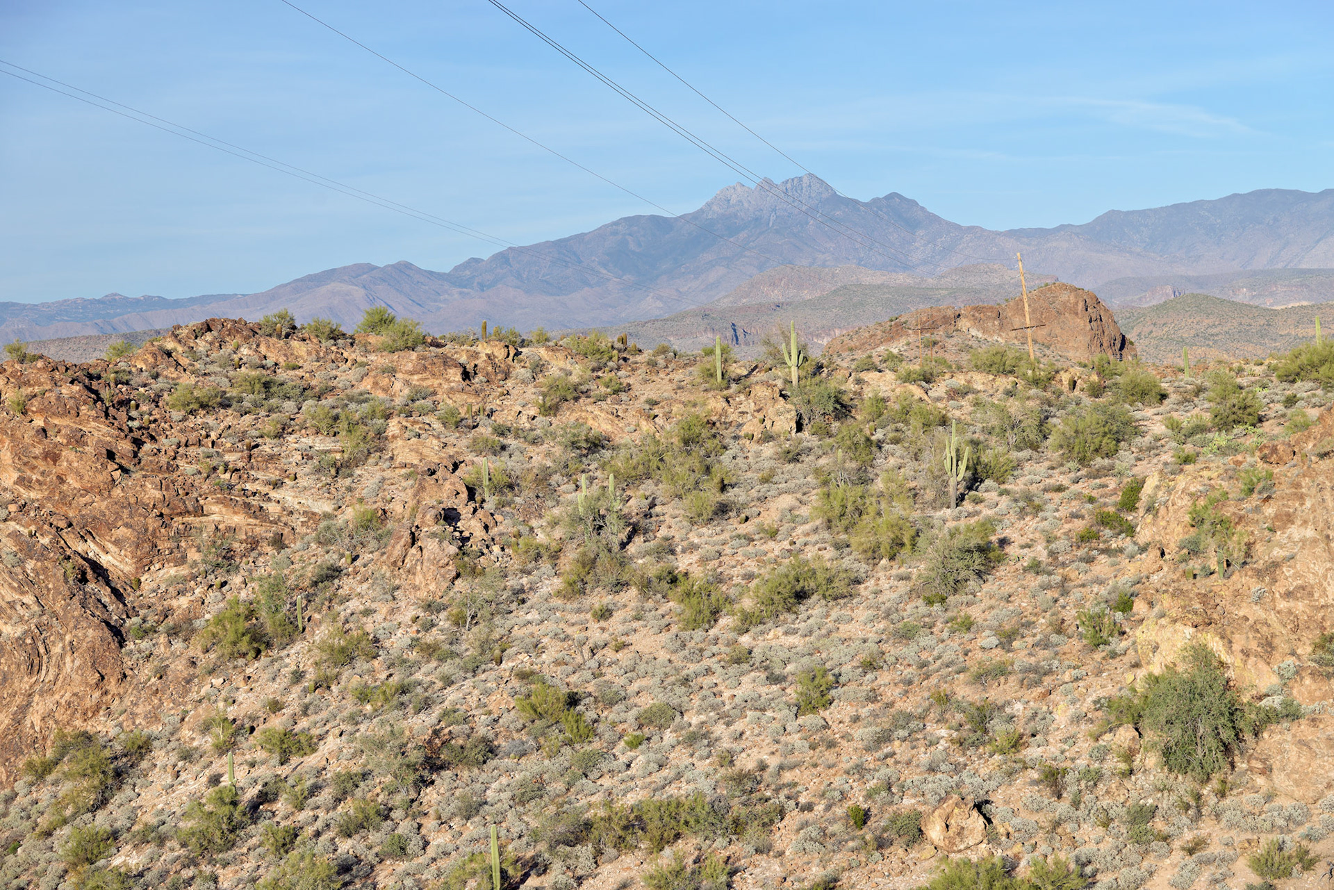 AZ_20121209_0757_PS.dng