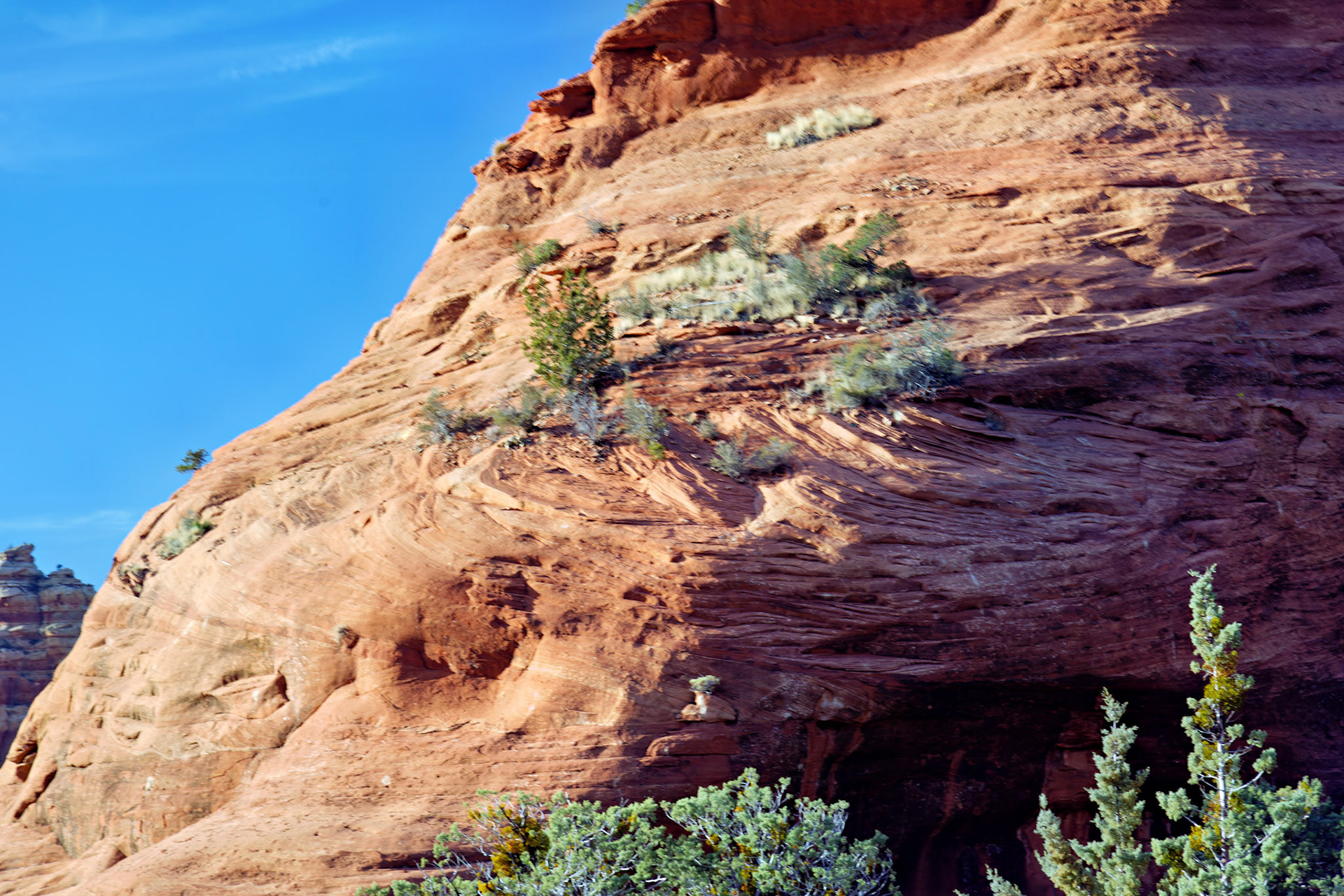 AZ_20121211_0557_PS.dng