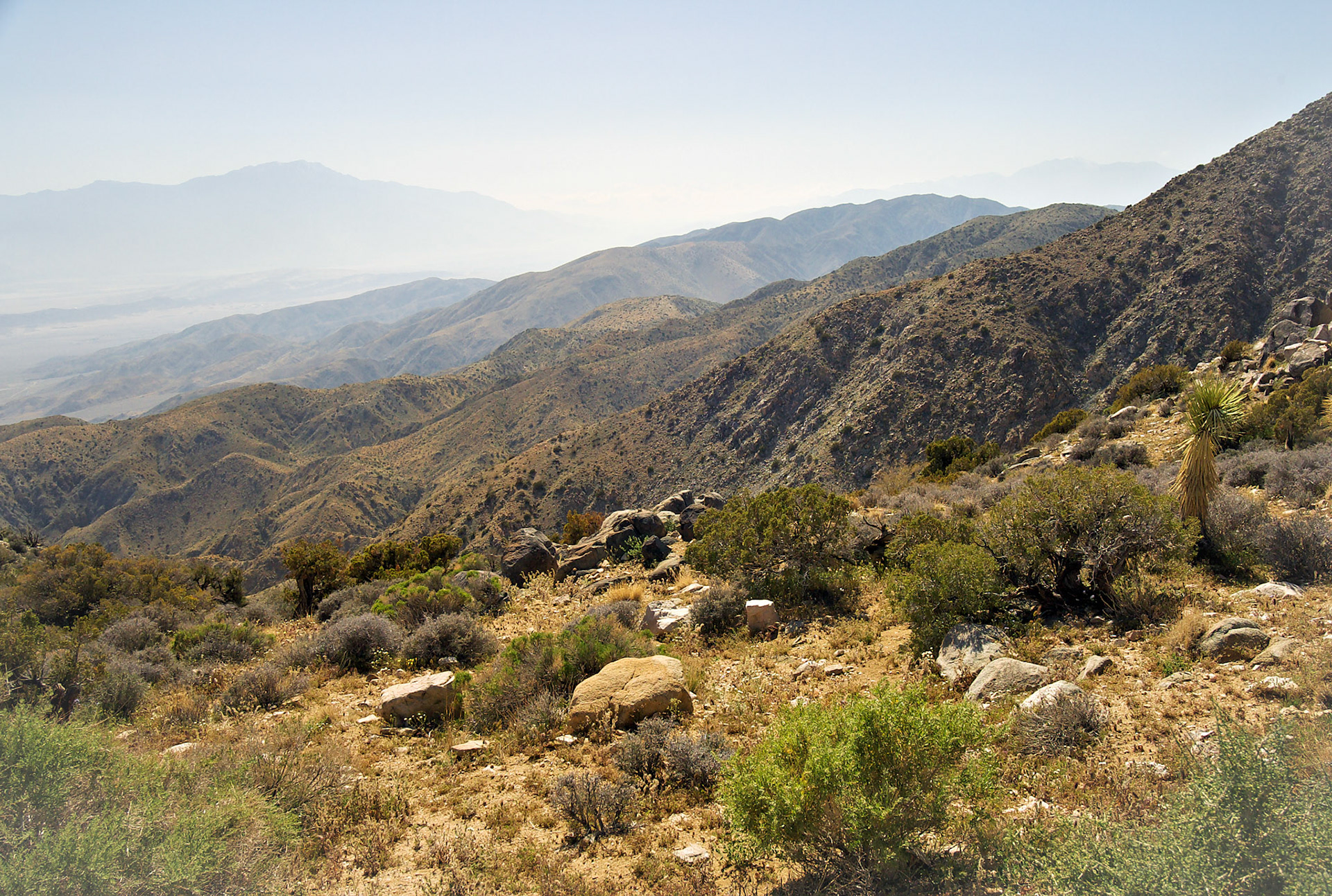 CA_LA_20030514_0063_PS