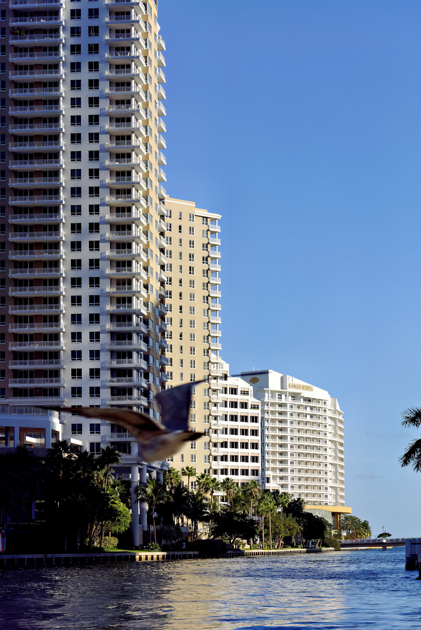 FL_Miami_20120215_0175_PS.tif