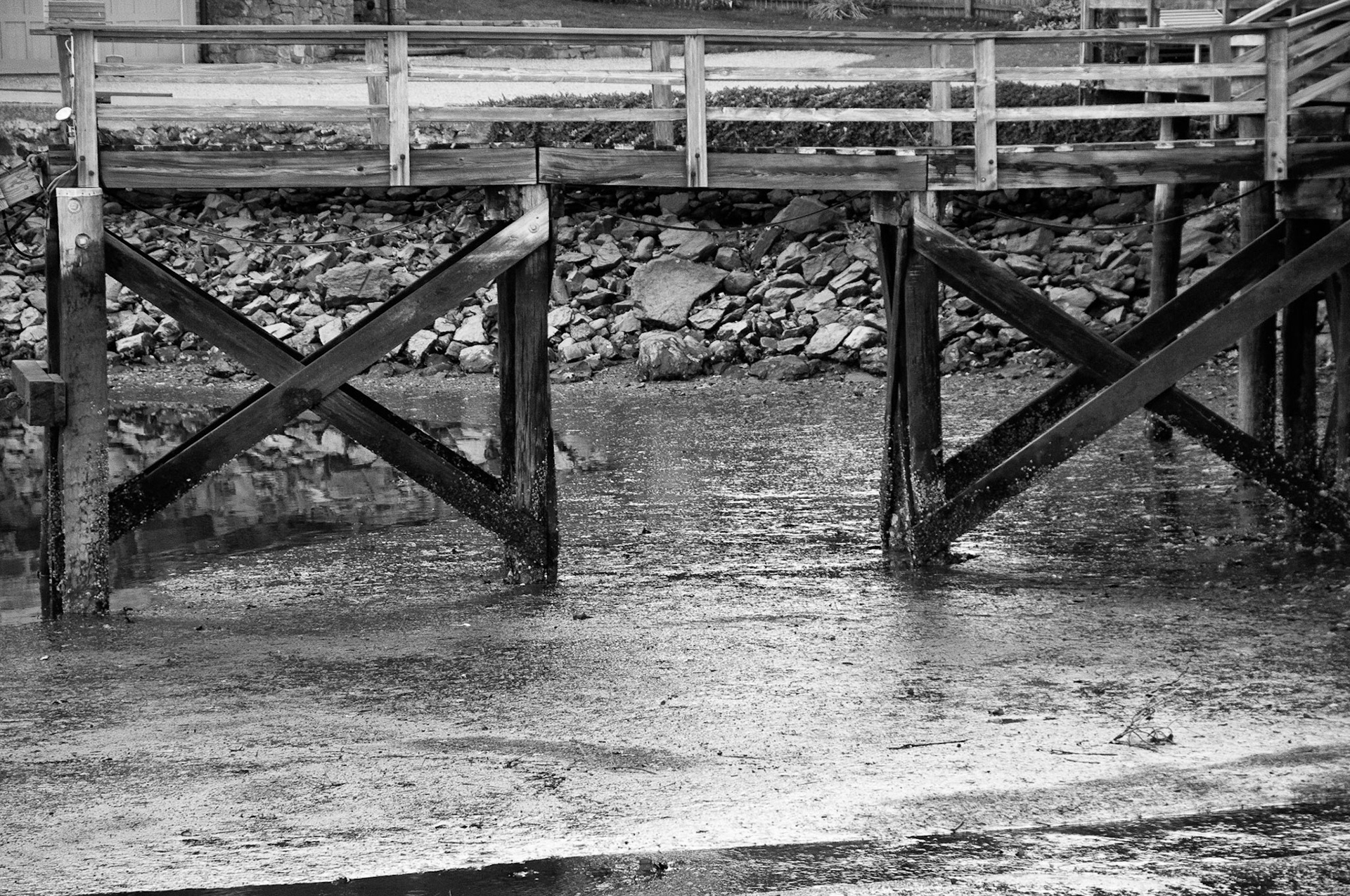 Black &amp; White Photos
