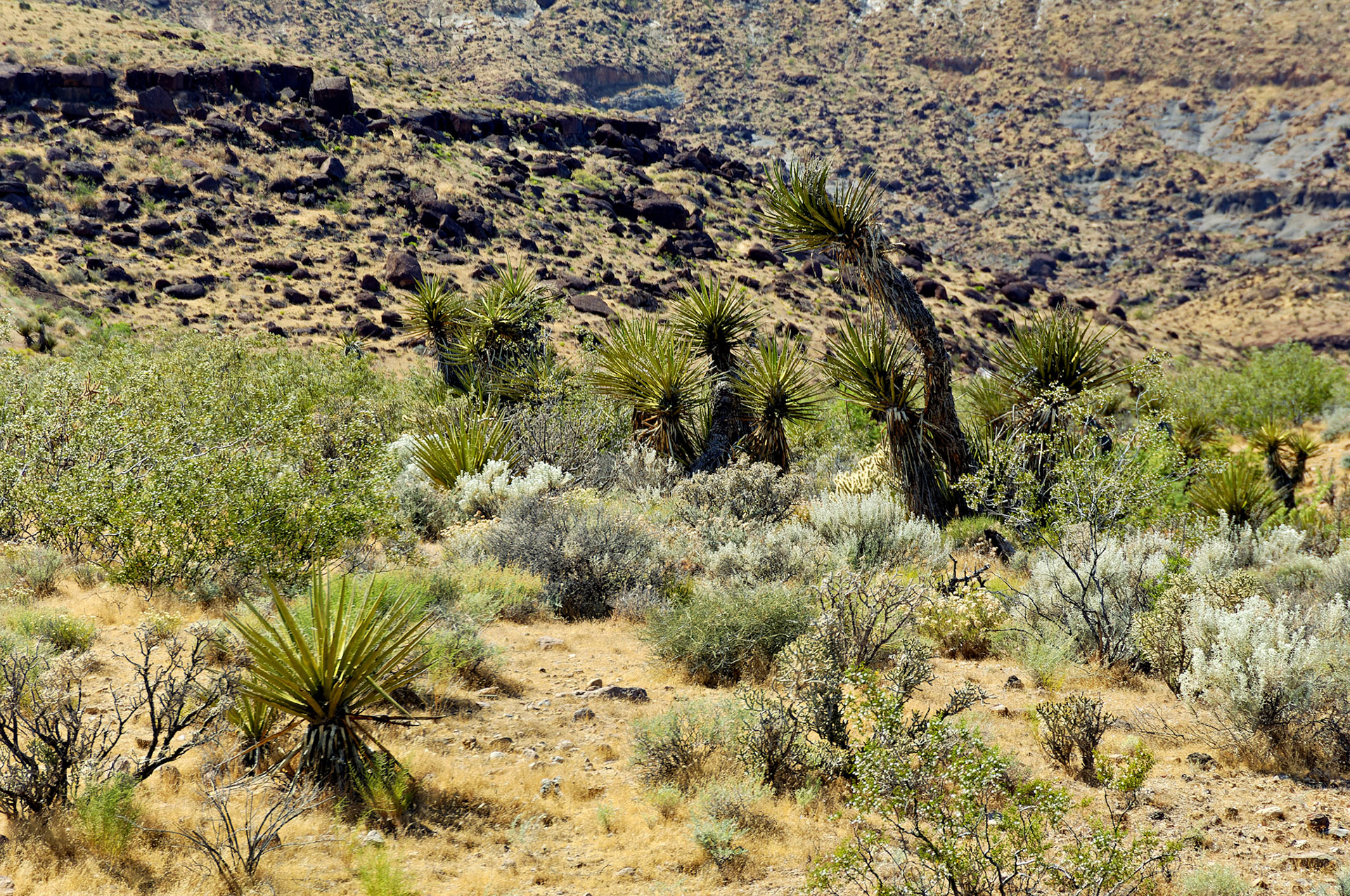 CA_20050614_0159_PS