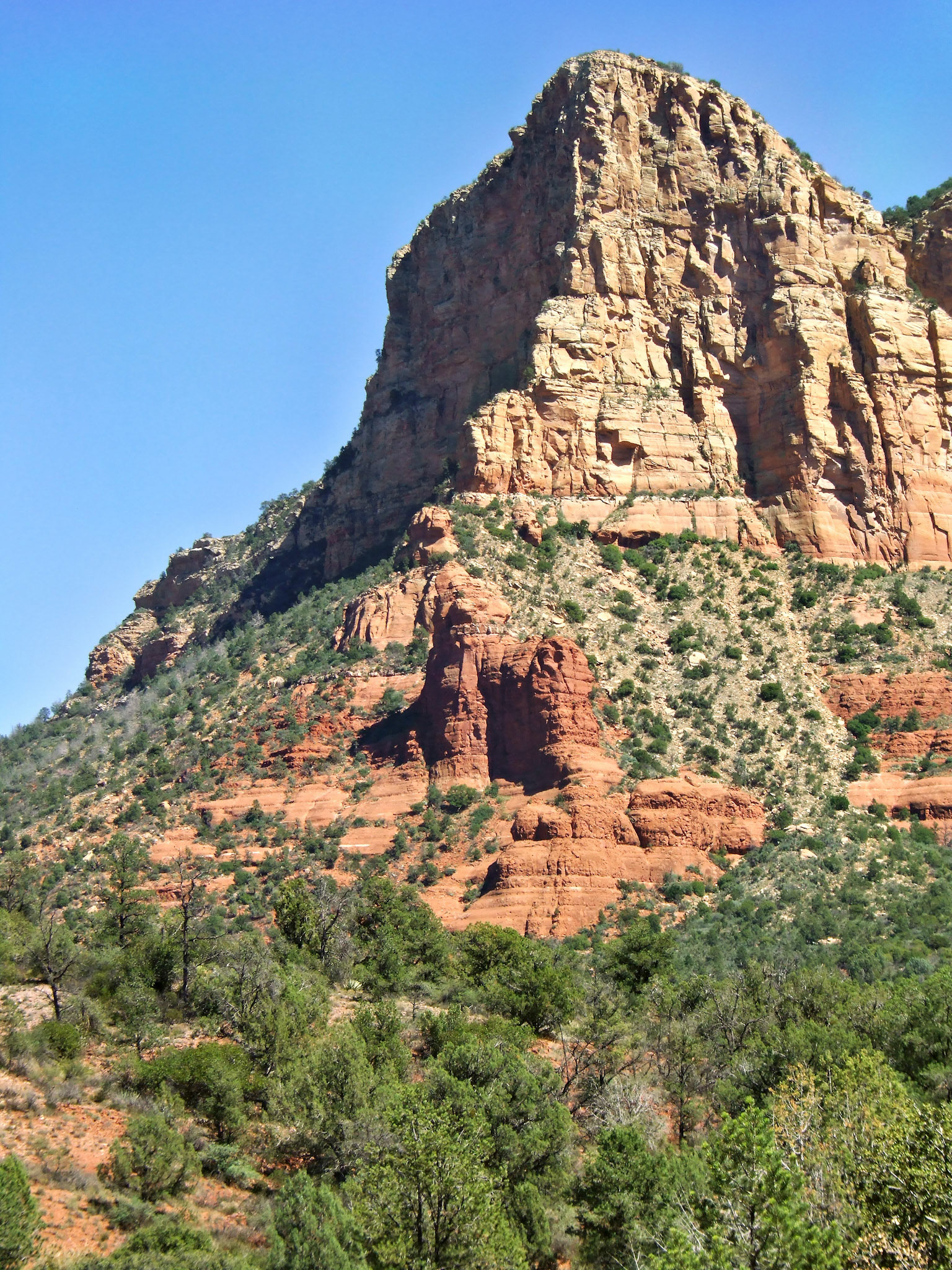 AZ_20060917_0779_PS.dng
