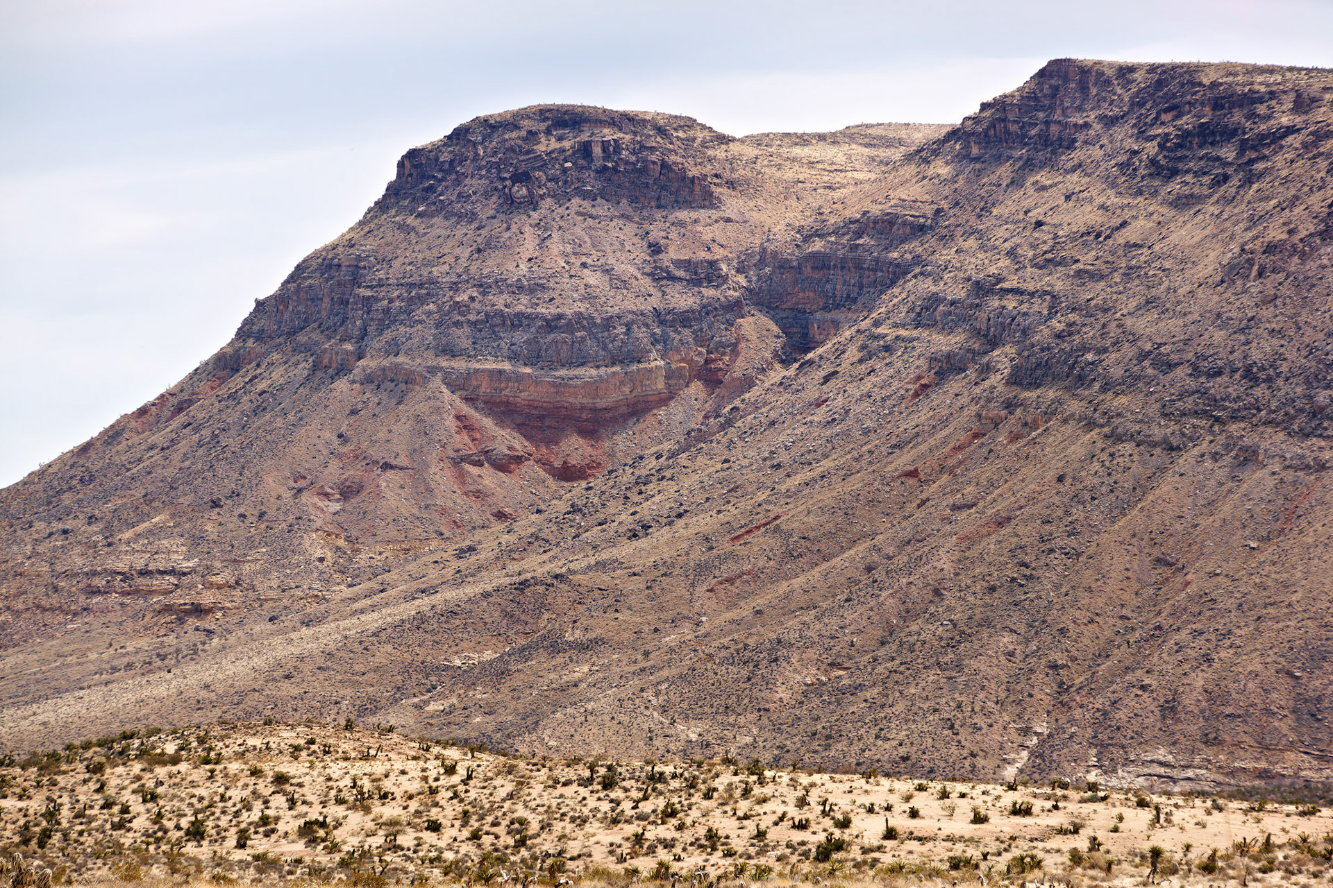 NV_Deserts_20120312_0033_PS