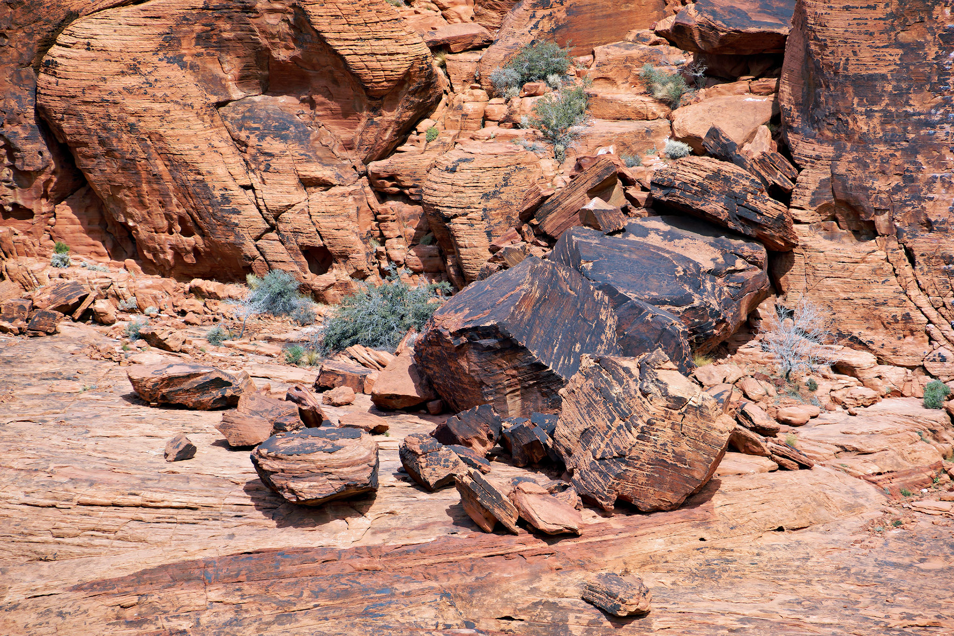 NV_Deserts_20120312_0058_PS.tif