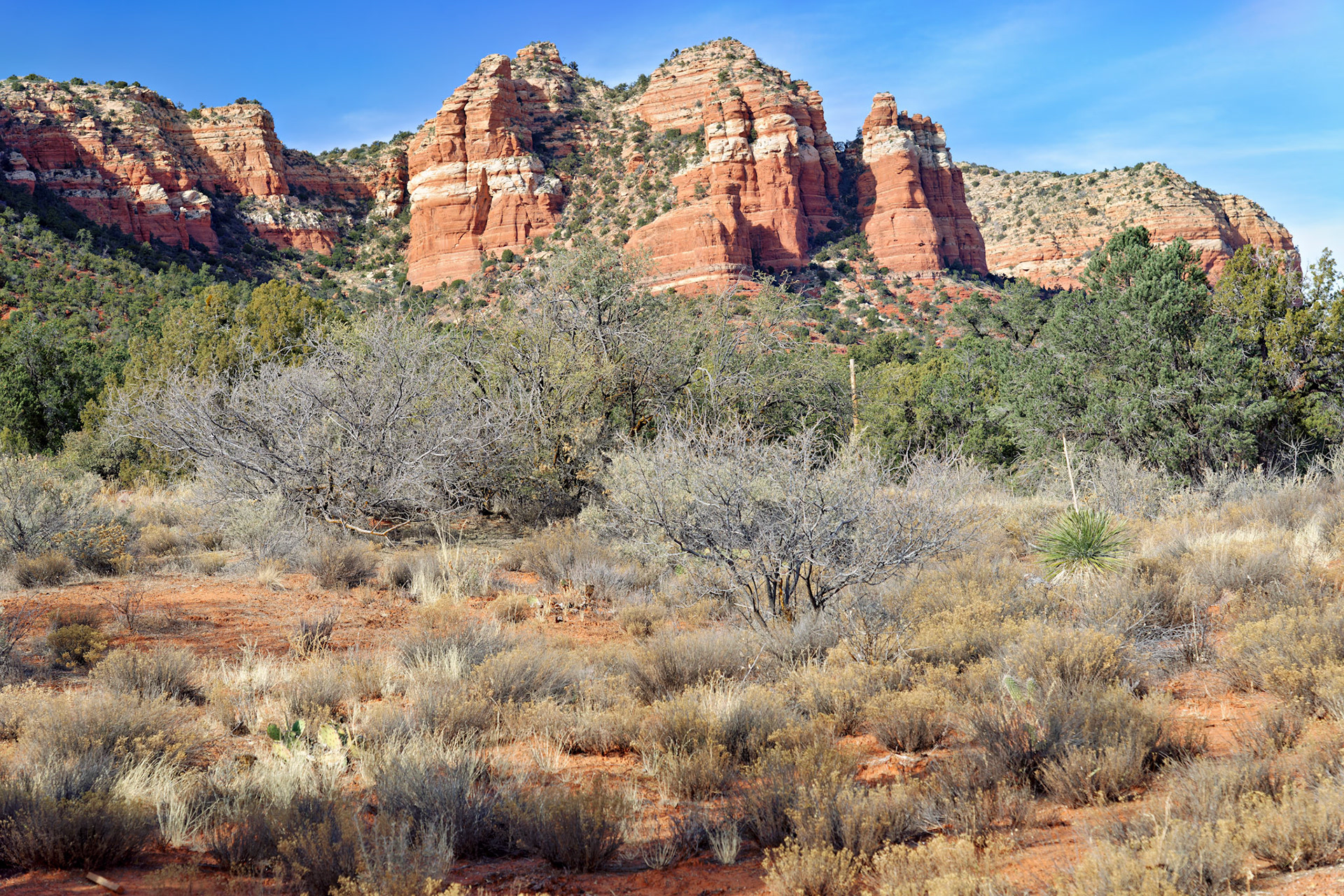 AZ_20121211_0598_PS