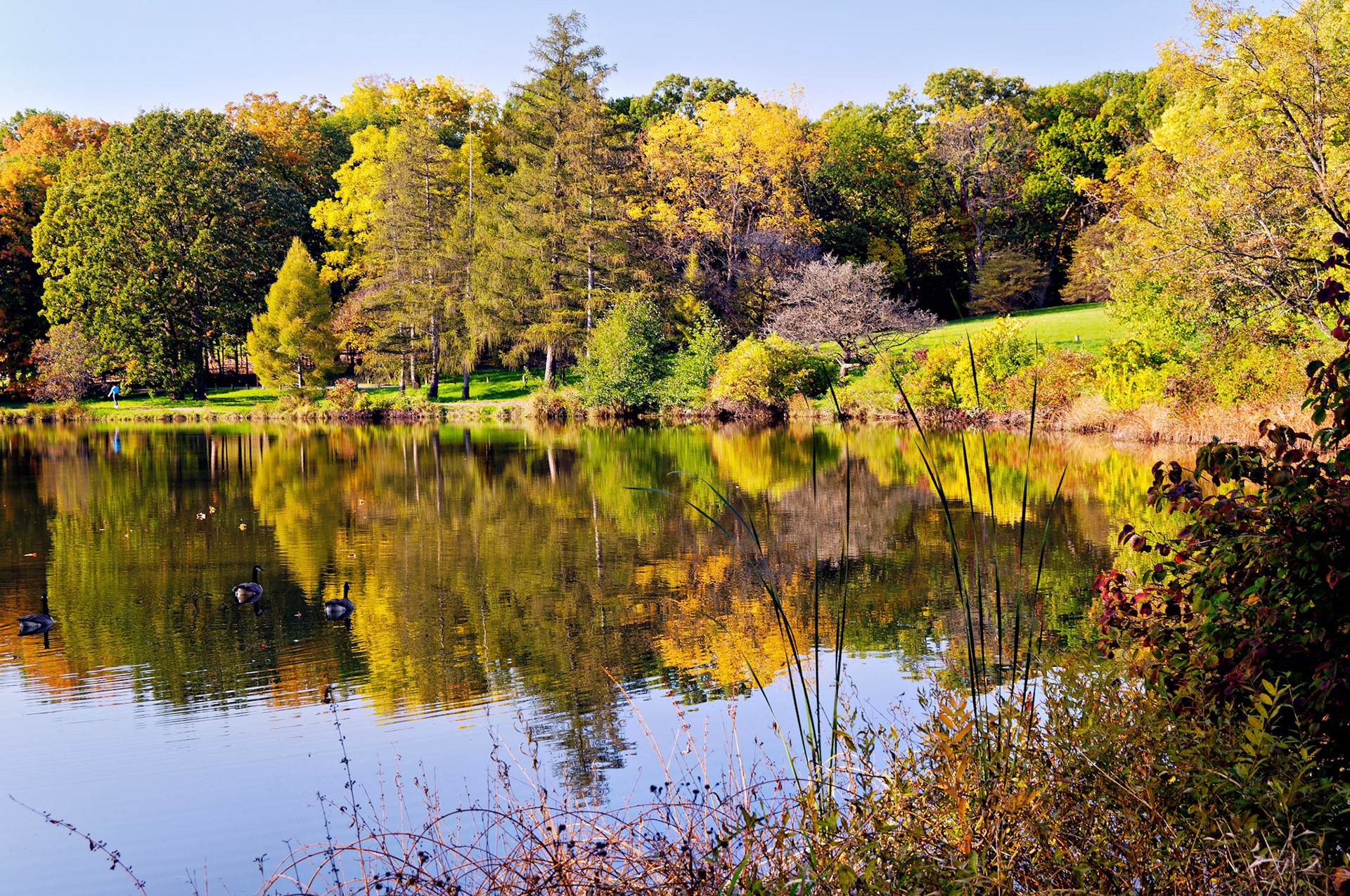 IL_Morton Arboretum_20081011_0316_PS