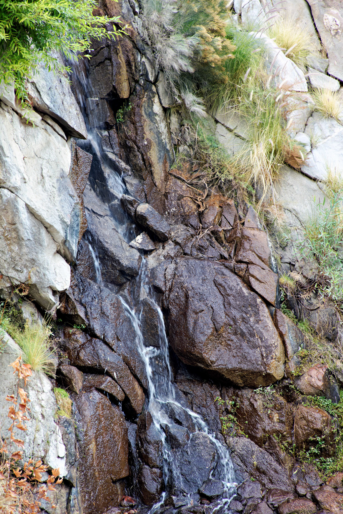 CA_PalmSprings_20111115_0403_PS