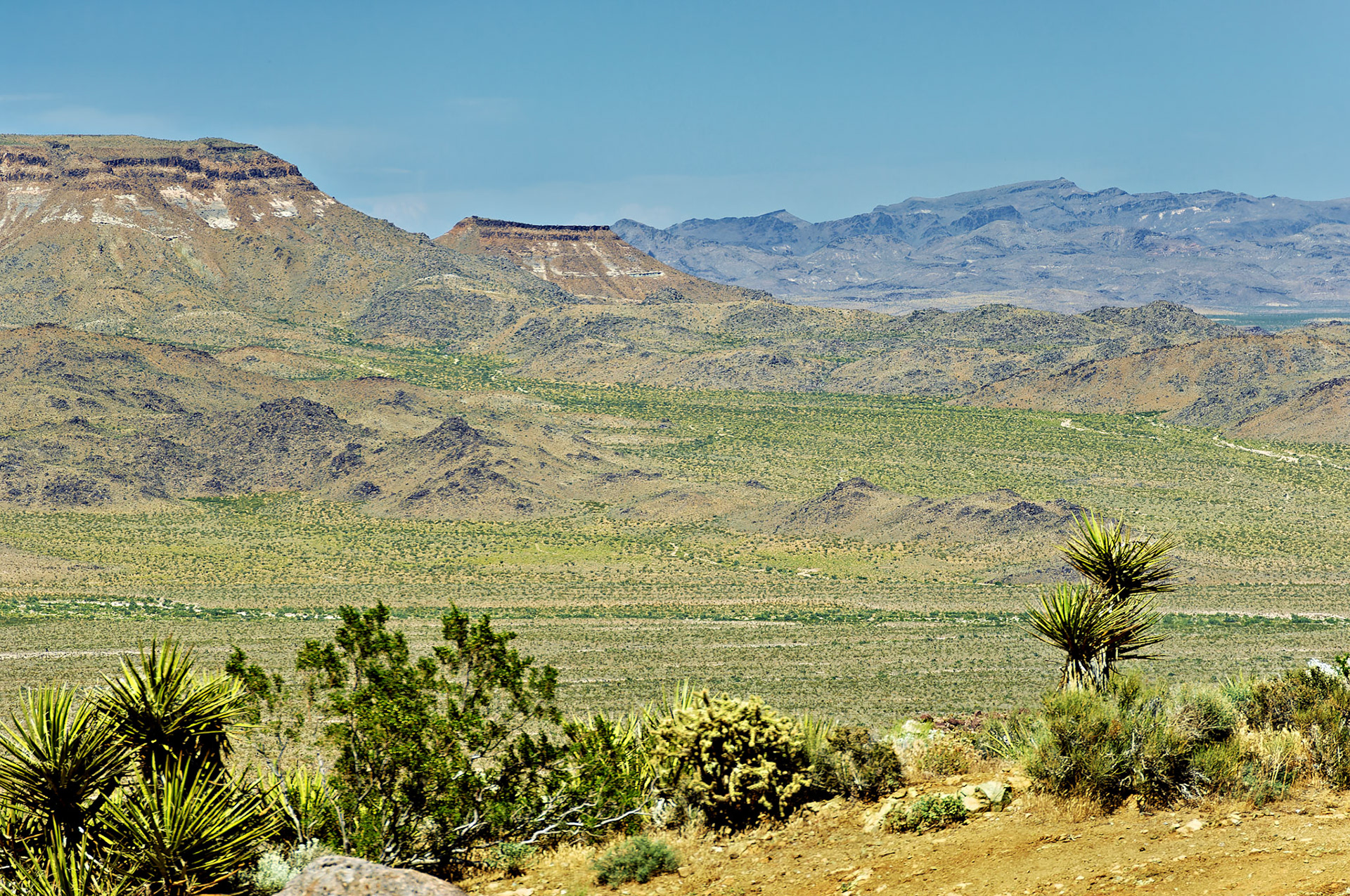 CA_20050614_0156_PS