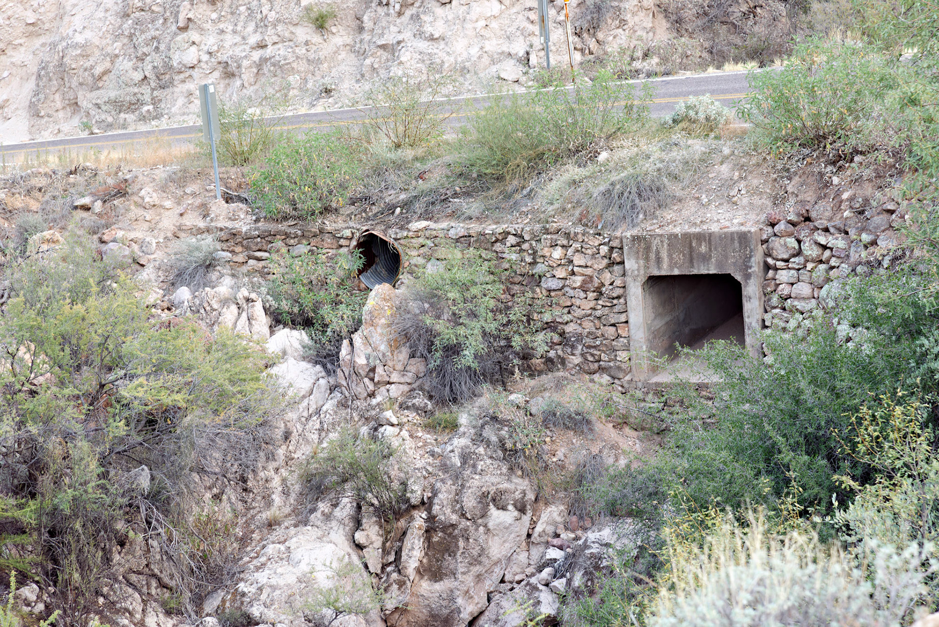 AZ_20121209_0225_PS.dng