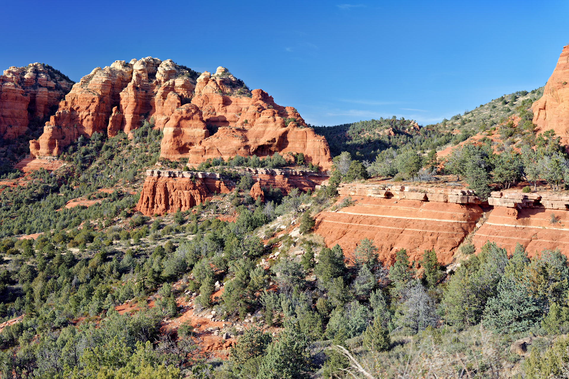 AZ_20121211_0572_PS