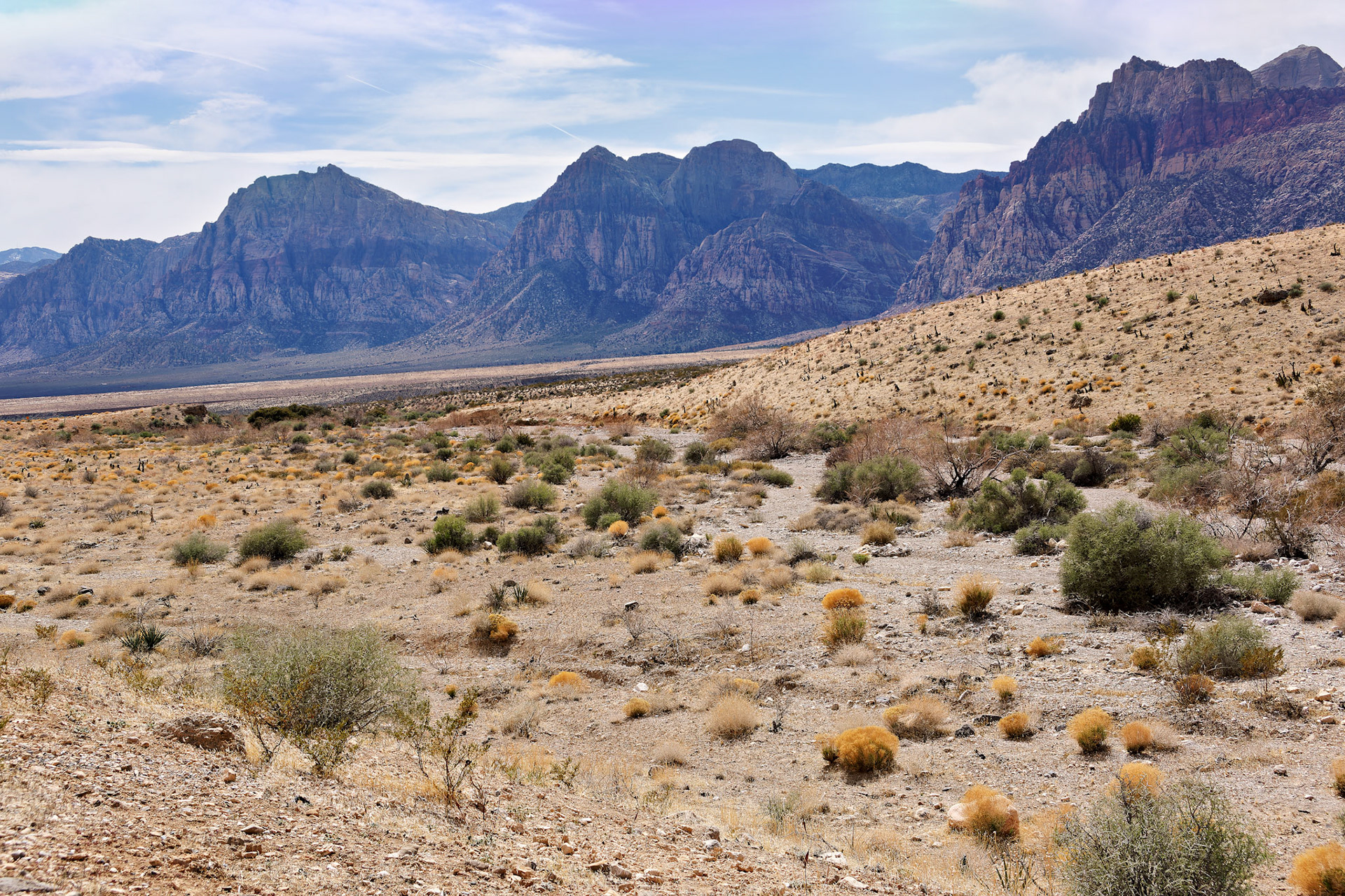 NV_Deserts_20120312_0069_PS.tif