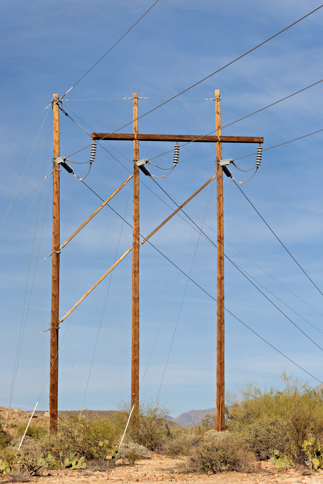 AZ_20121209_0360_PS.dng