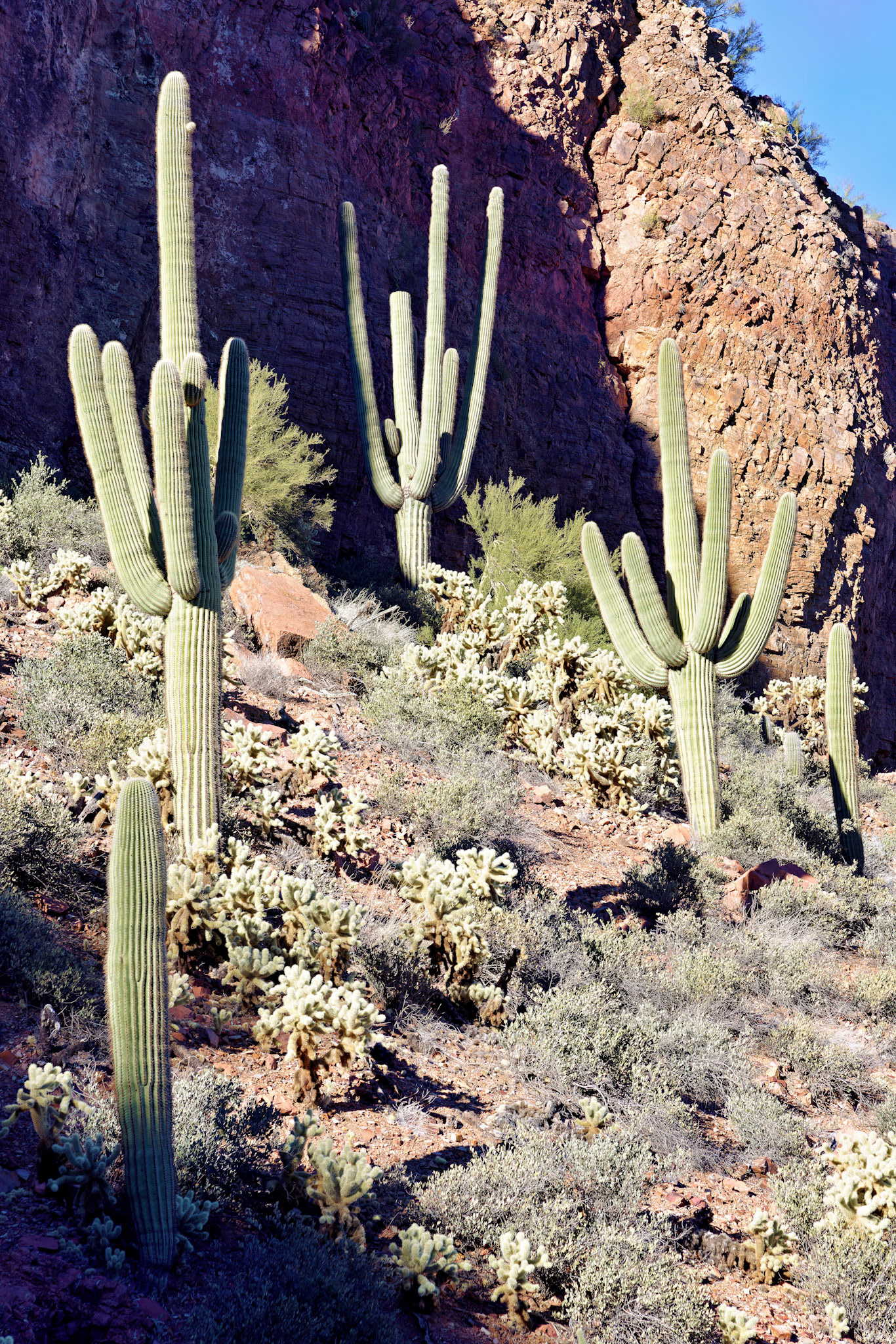 AZ_20121210_0433_PS
