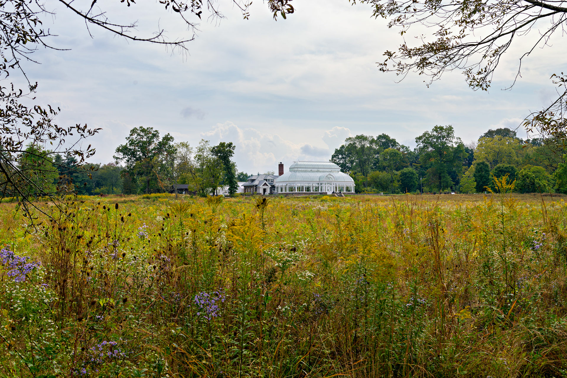 NJ_DukeEstate_20120928_0163_PS