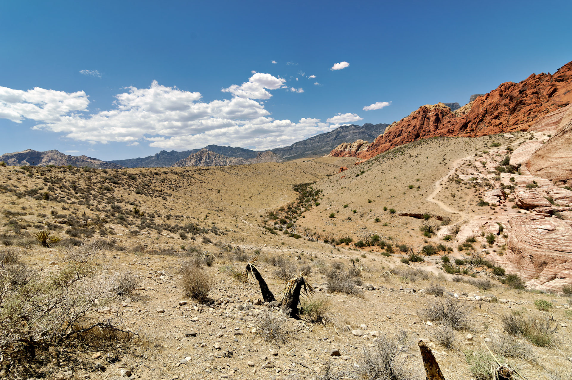 NV_20070531_0114_PS