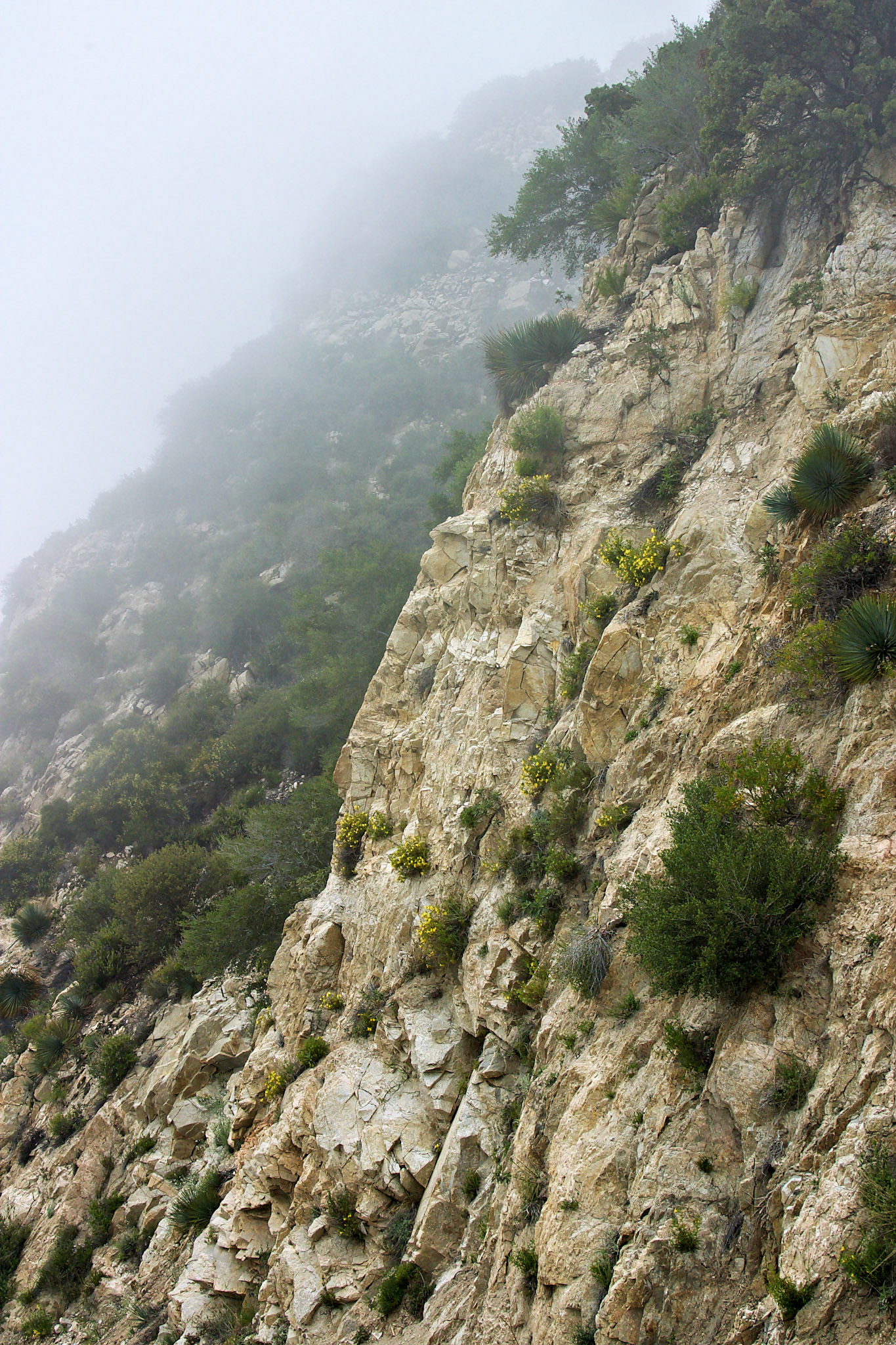 CA_LA_20030514_0019_PS