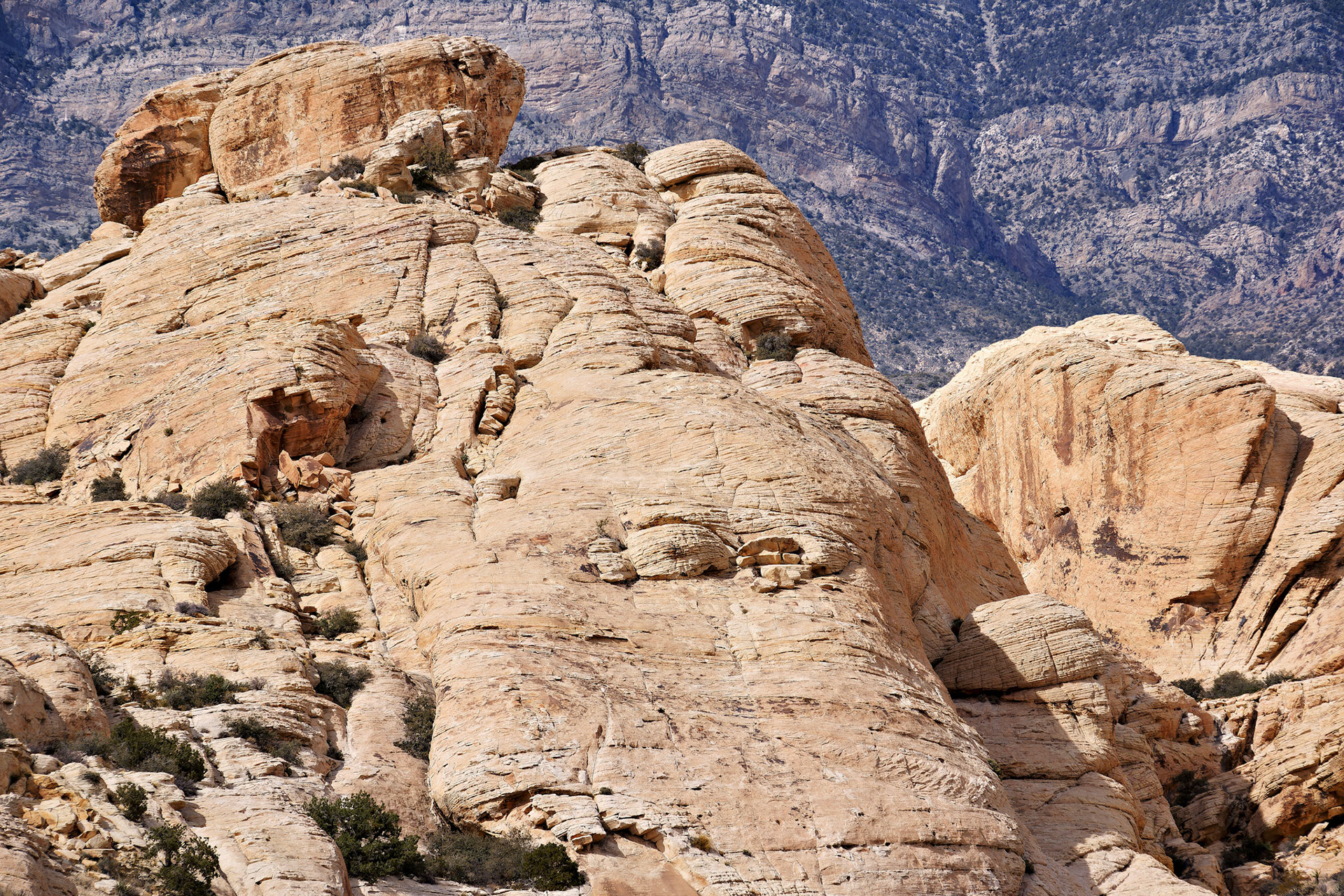 NV_Deserts_20120312_0063_PS.tif