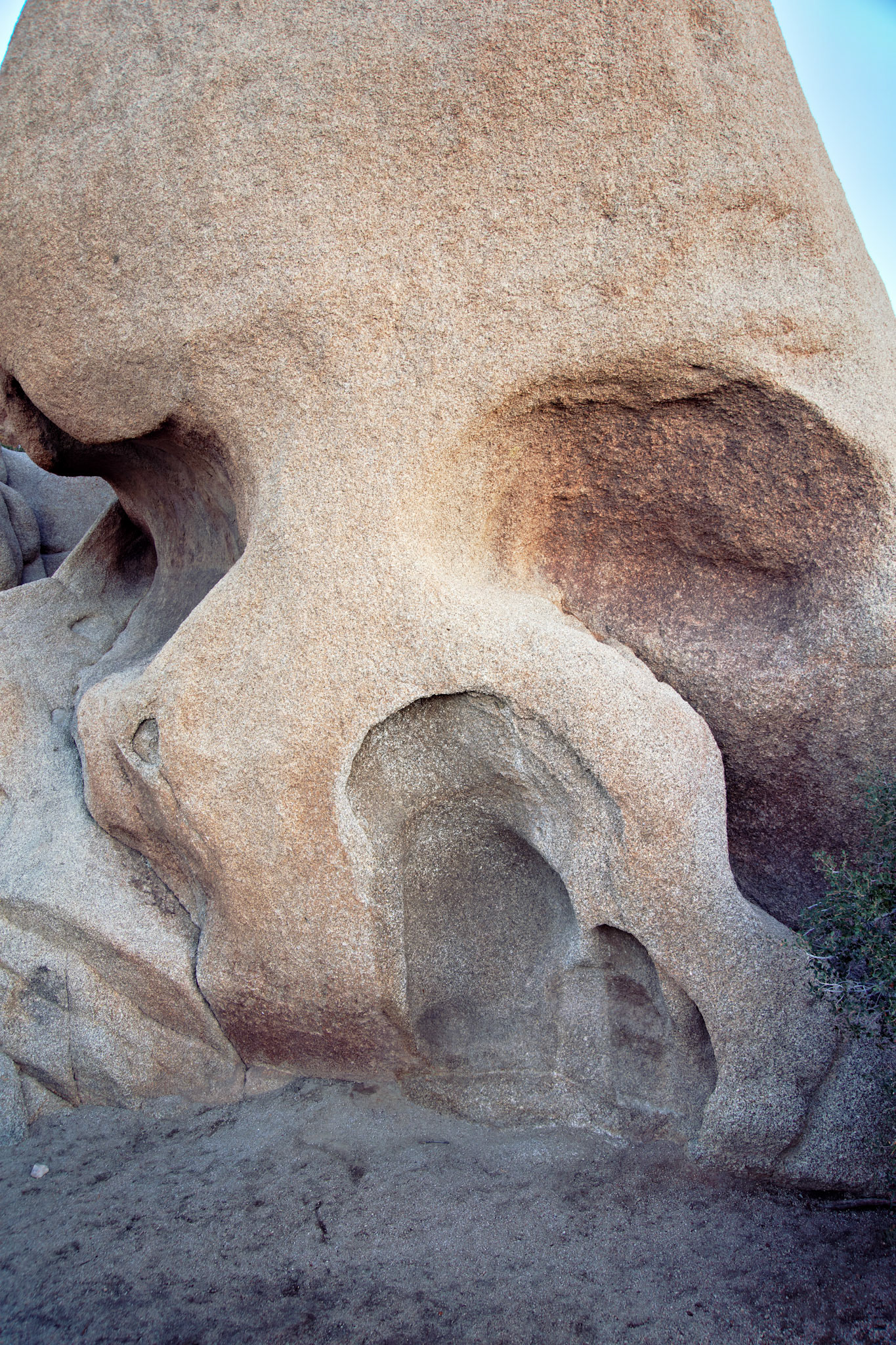 CA_JoshuaTree_20111114_0282_PS