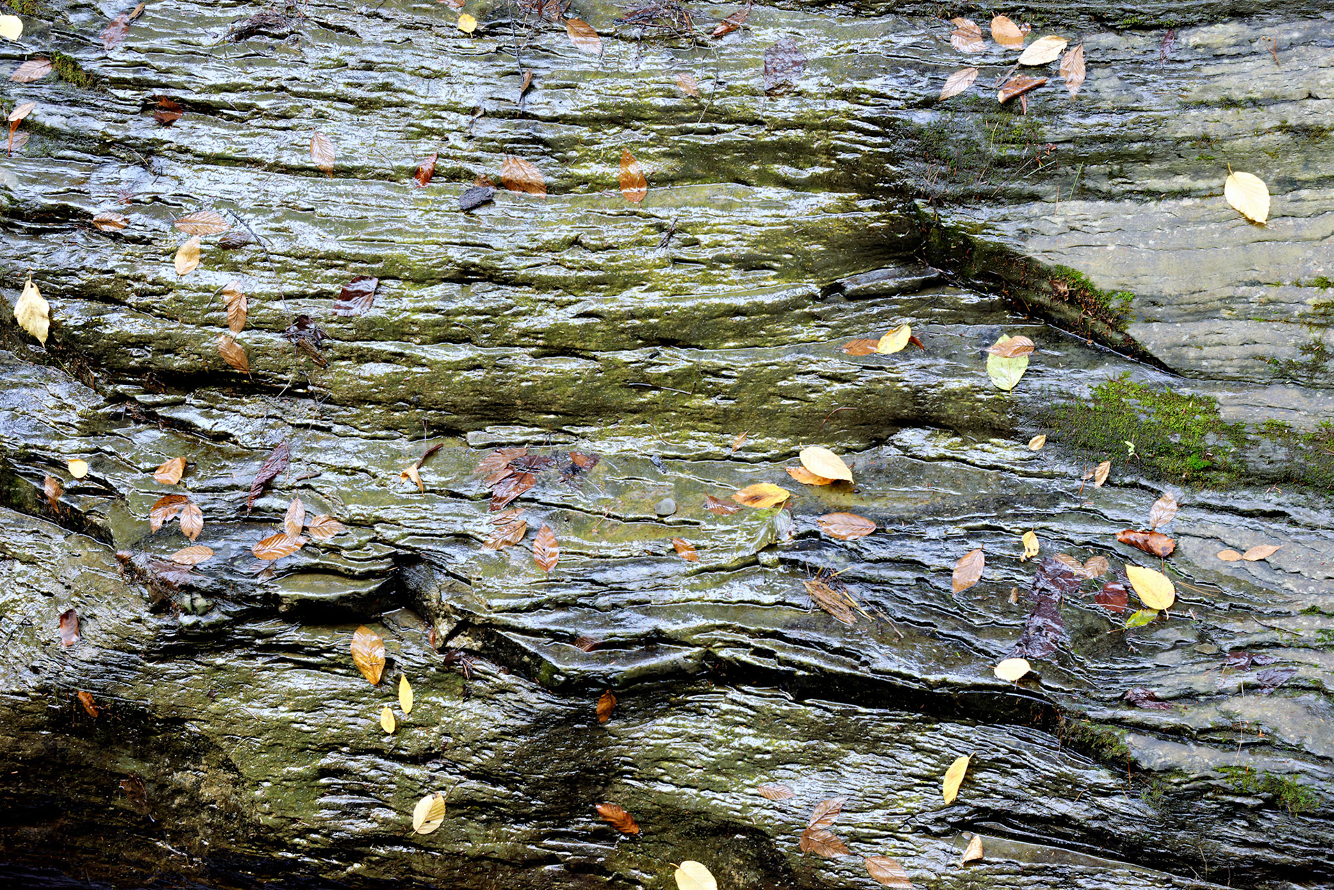 NY_FingerLakes_20120927_0130_PS