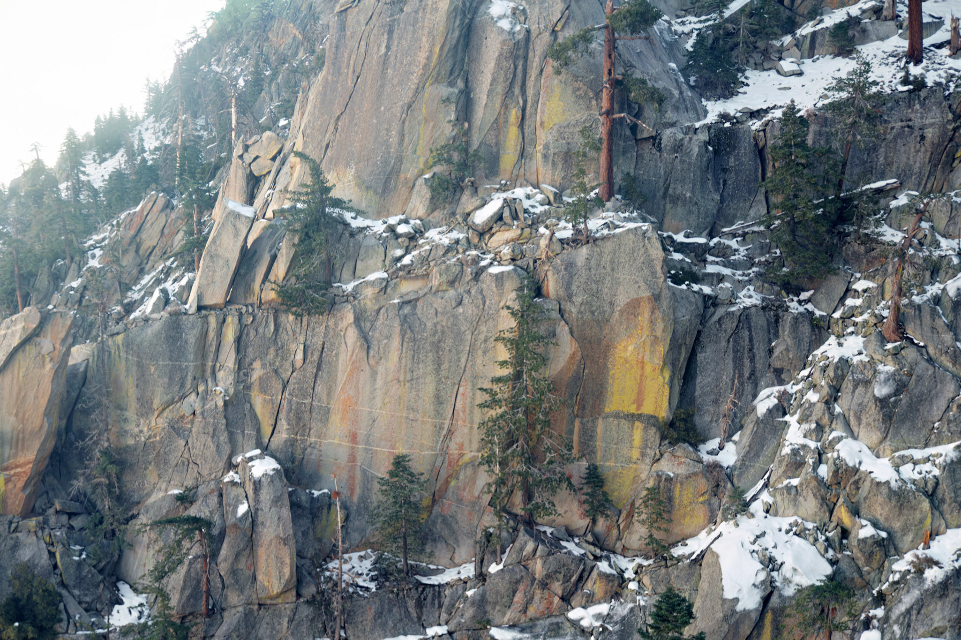 CA_PalmSprings_20111115_0334_PS