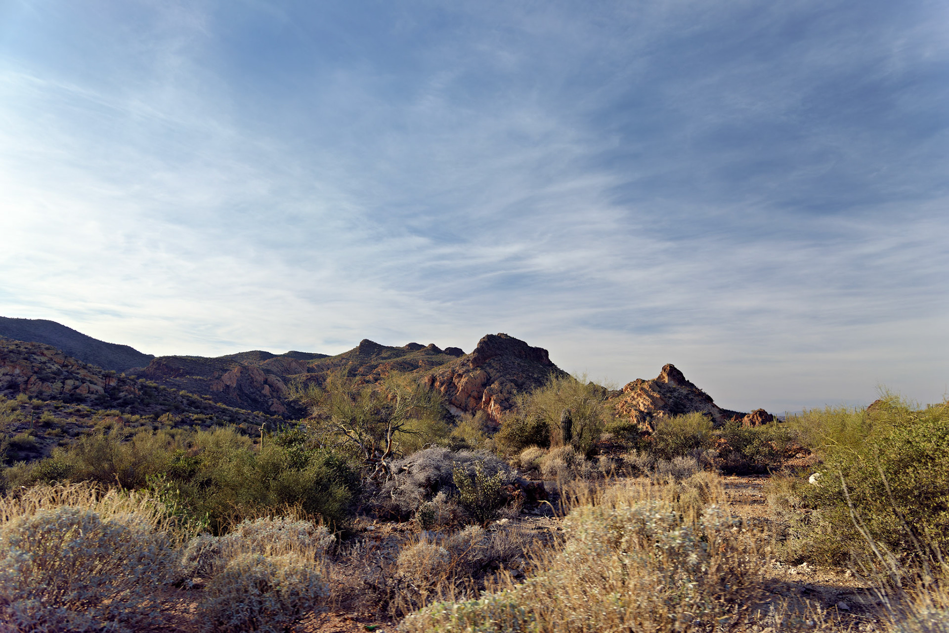 AZ_20121209_0191_PS.dng