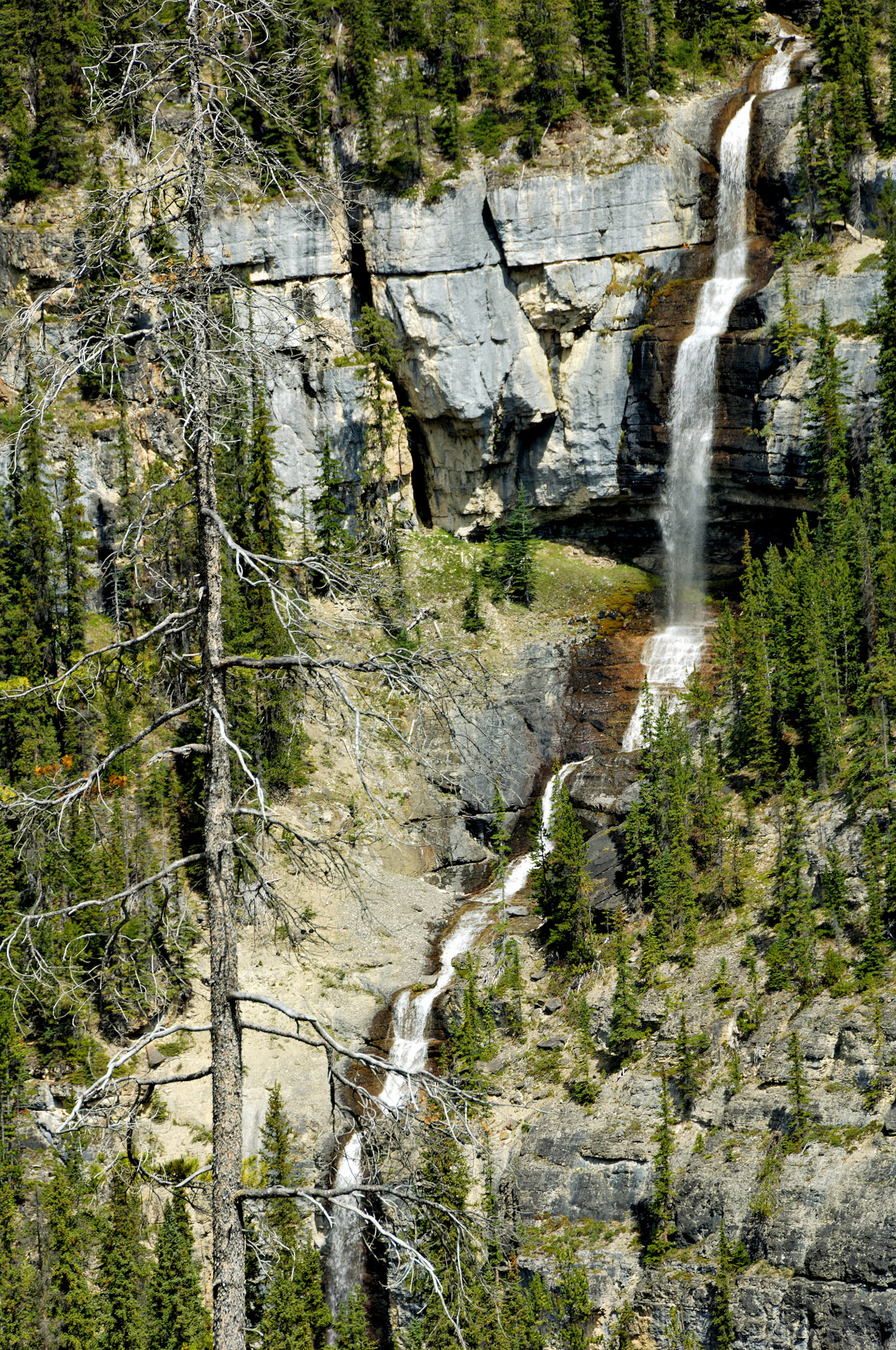 CN_20060802_0560_PS