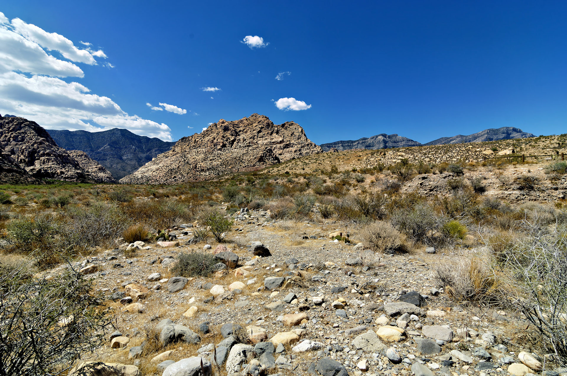 NV_20070531_0144_PS