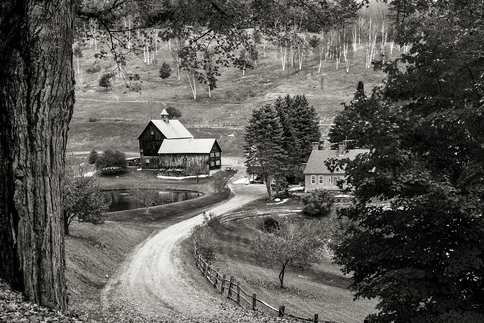 VT_20021028_0031_PS.dng