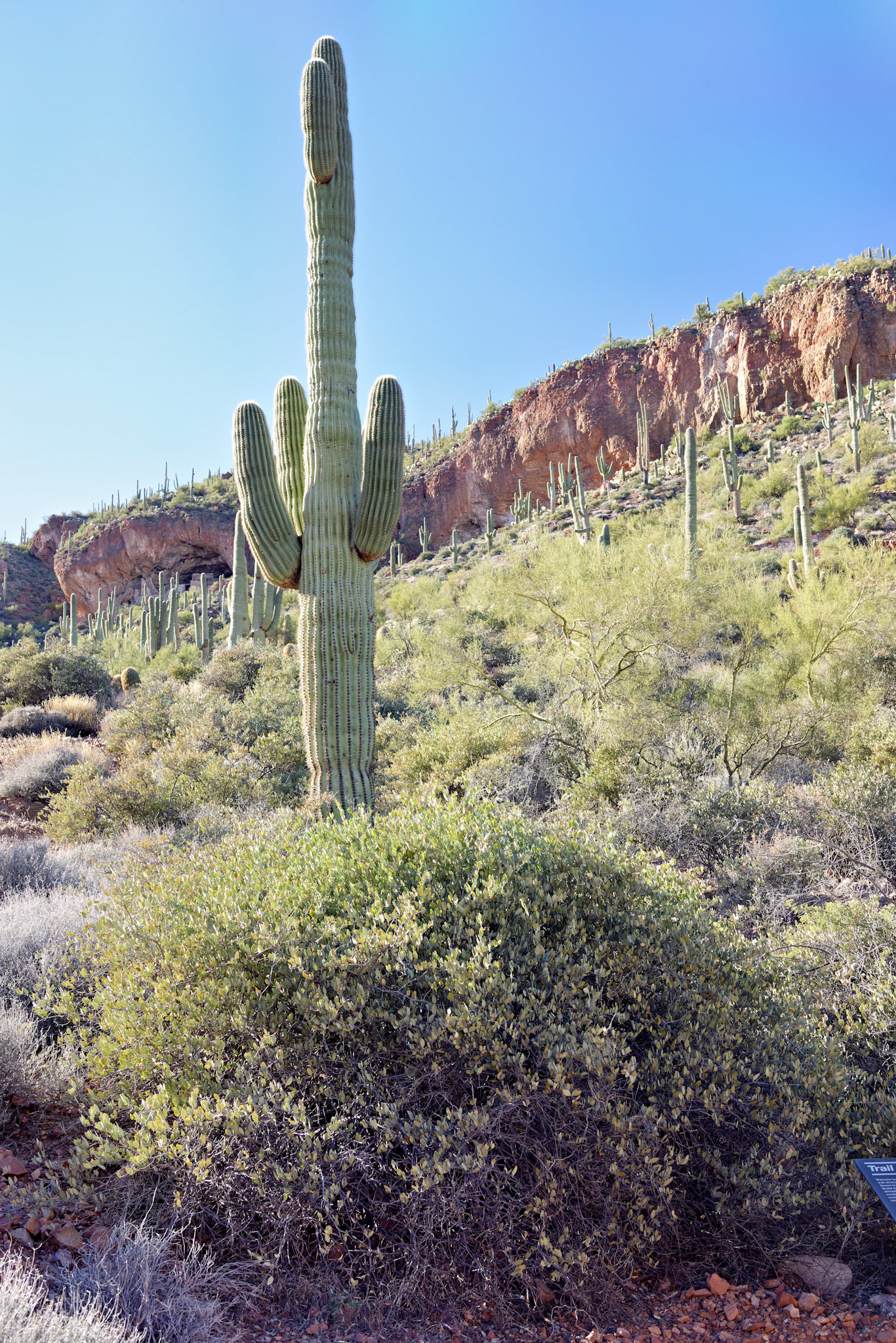 AZ_20121210_0400_PS