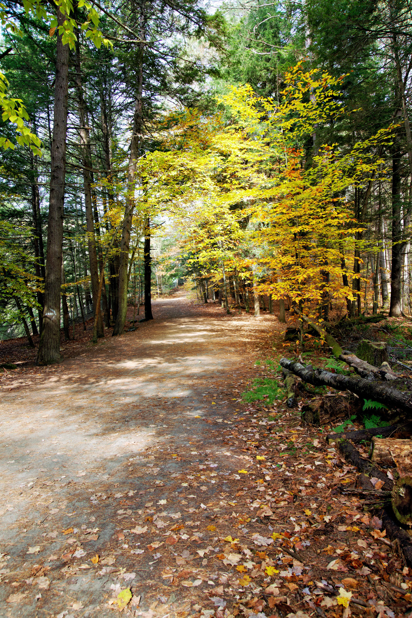 VT_20091022_0307_PS