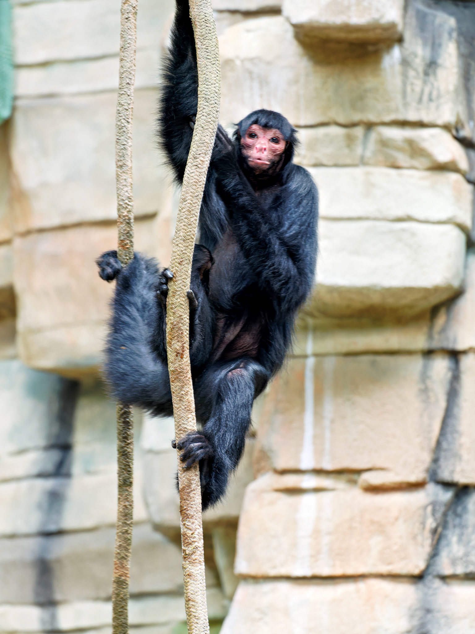 Wildlife_20150518_0625_PS