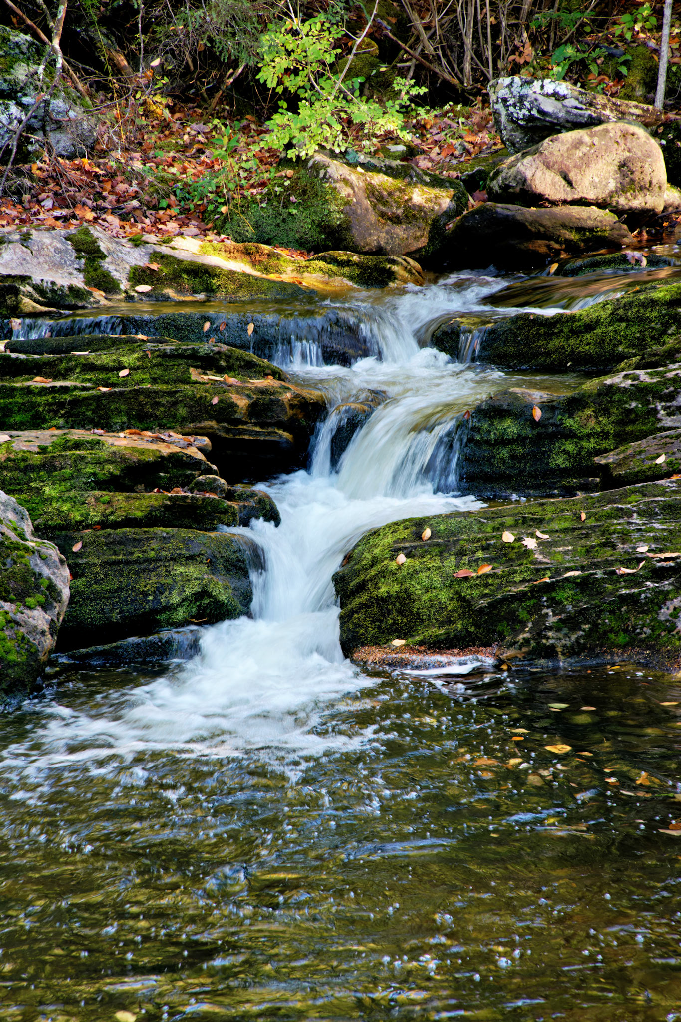 VT_20091019_0156_PS