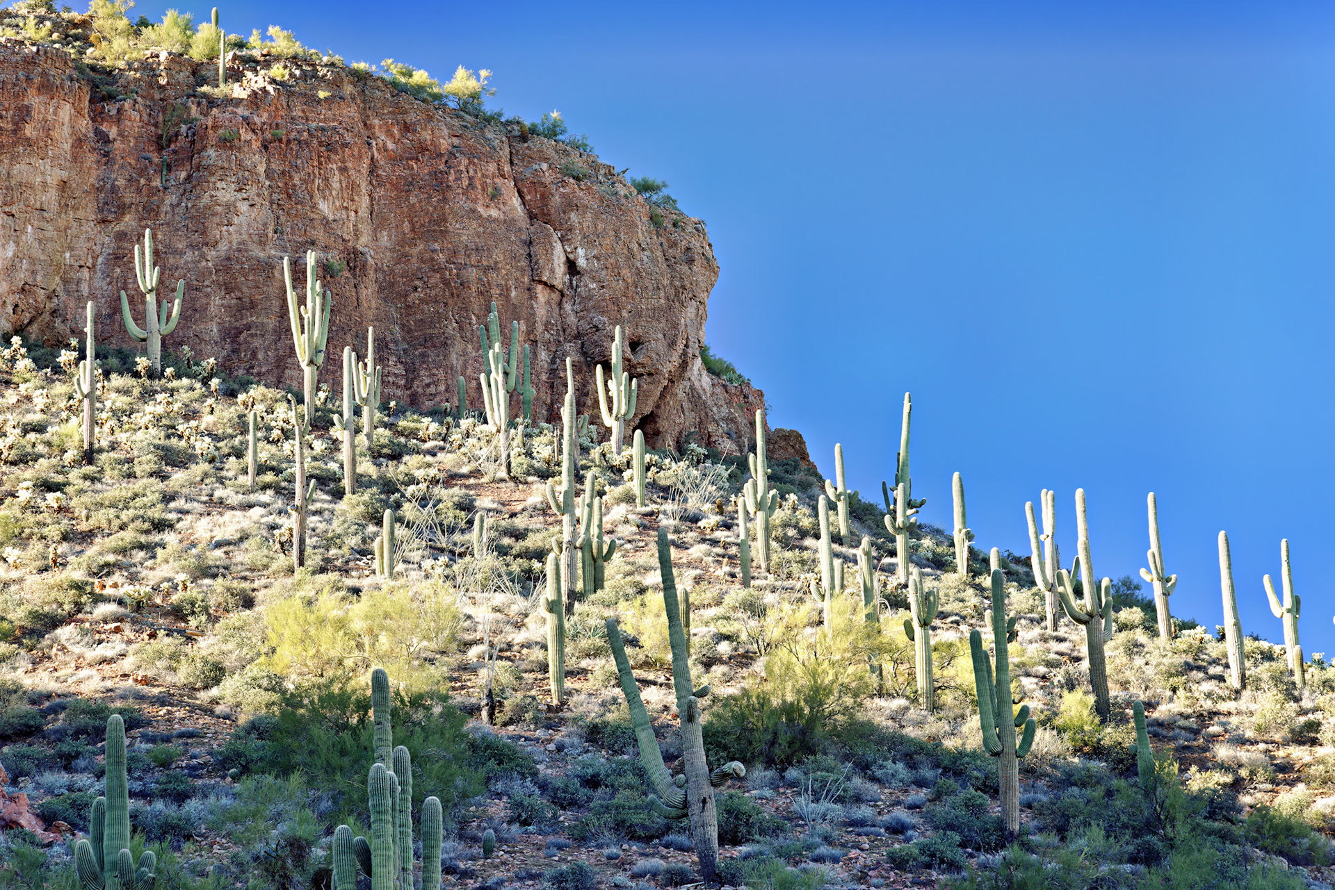 AZ_20121210_0450_PS