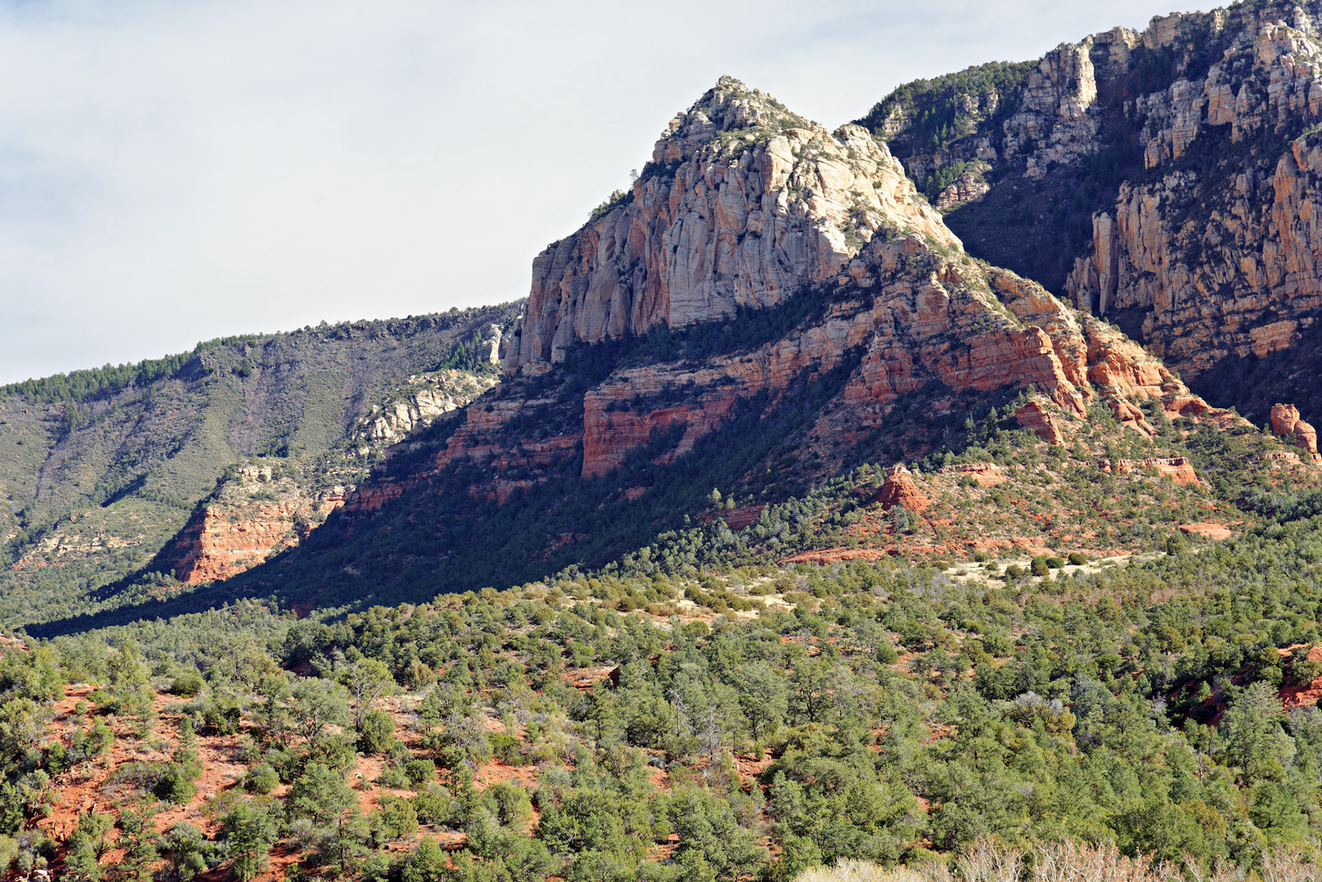AZ_20121211_0478_PS.dng