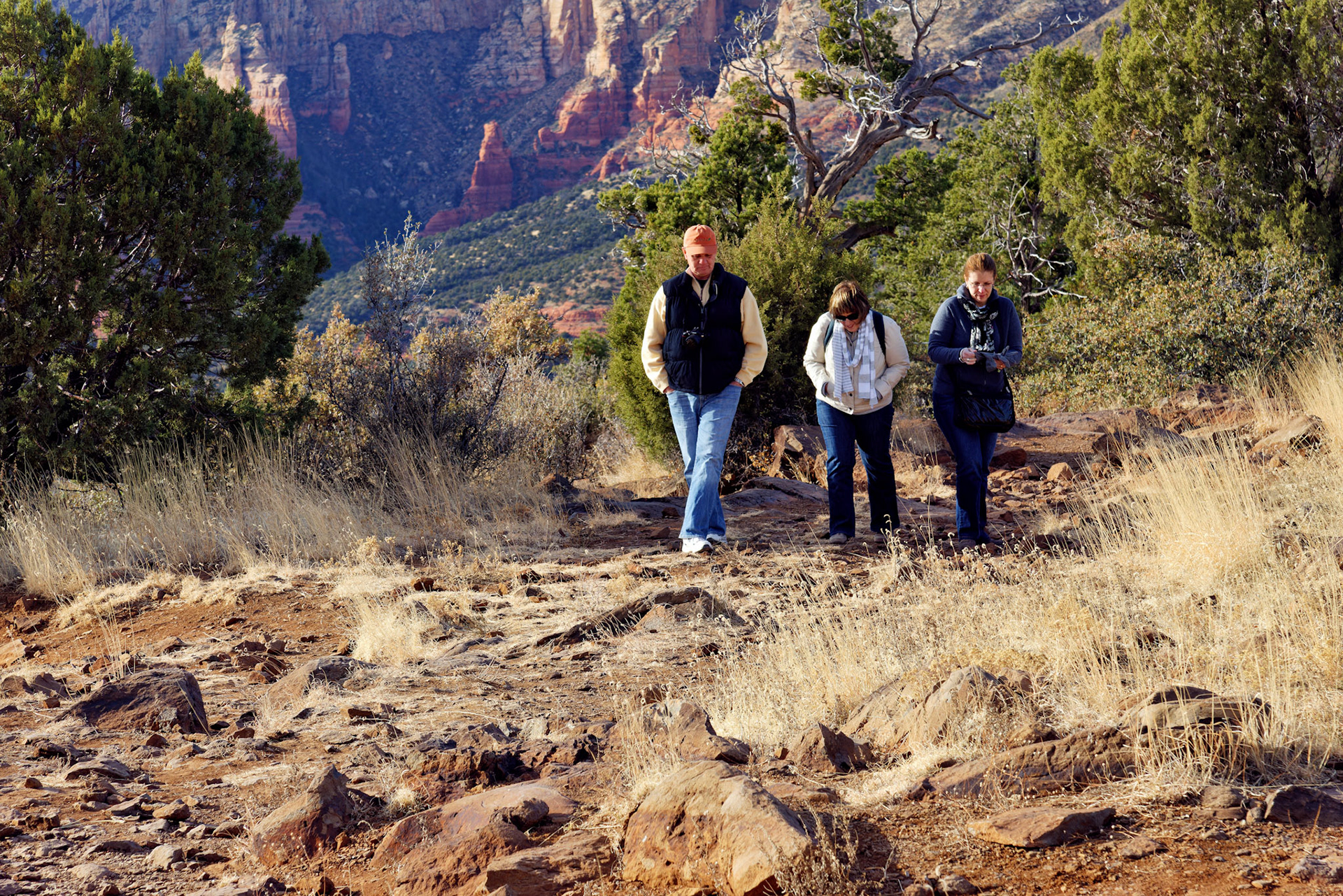 AZ_20121211_0755_PS.dng