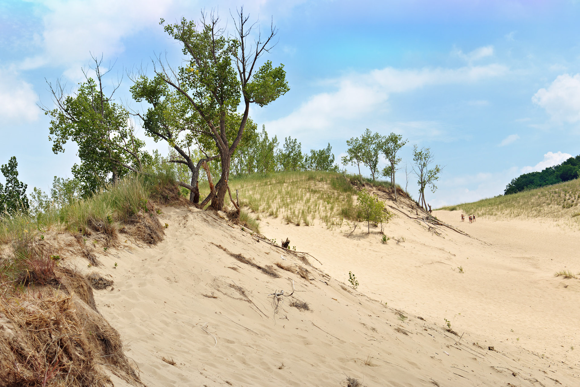 MI_New BuffaloArea_20150808_0121_PS