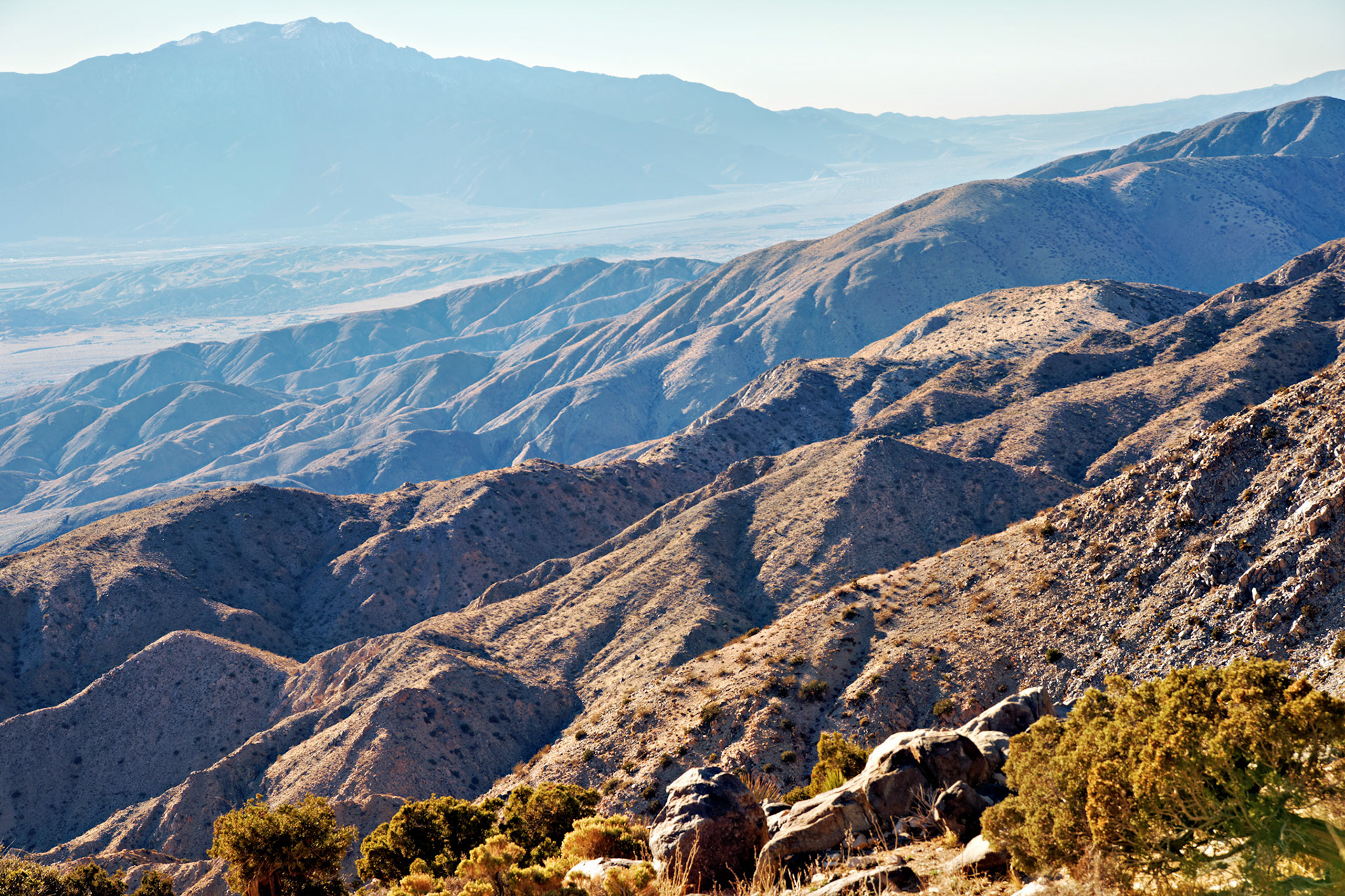 CA_PalmSprings_20090114_0198_PS