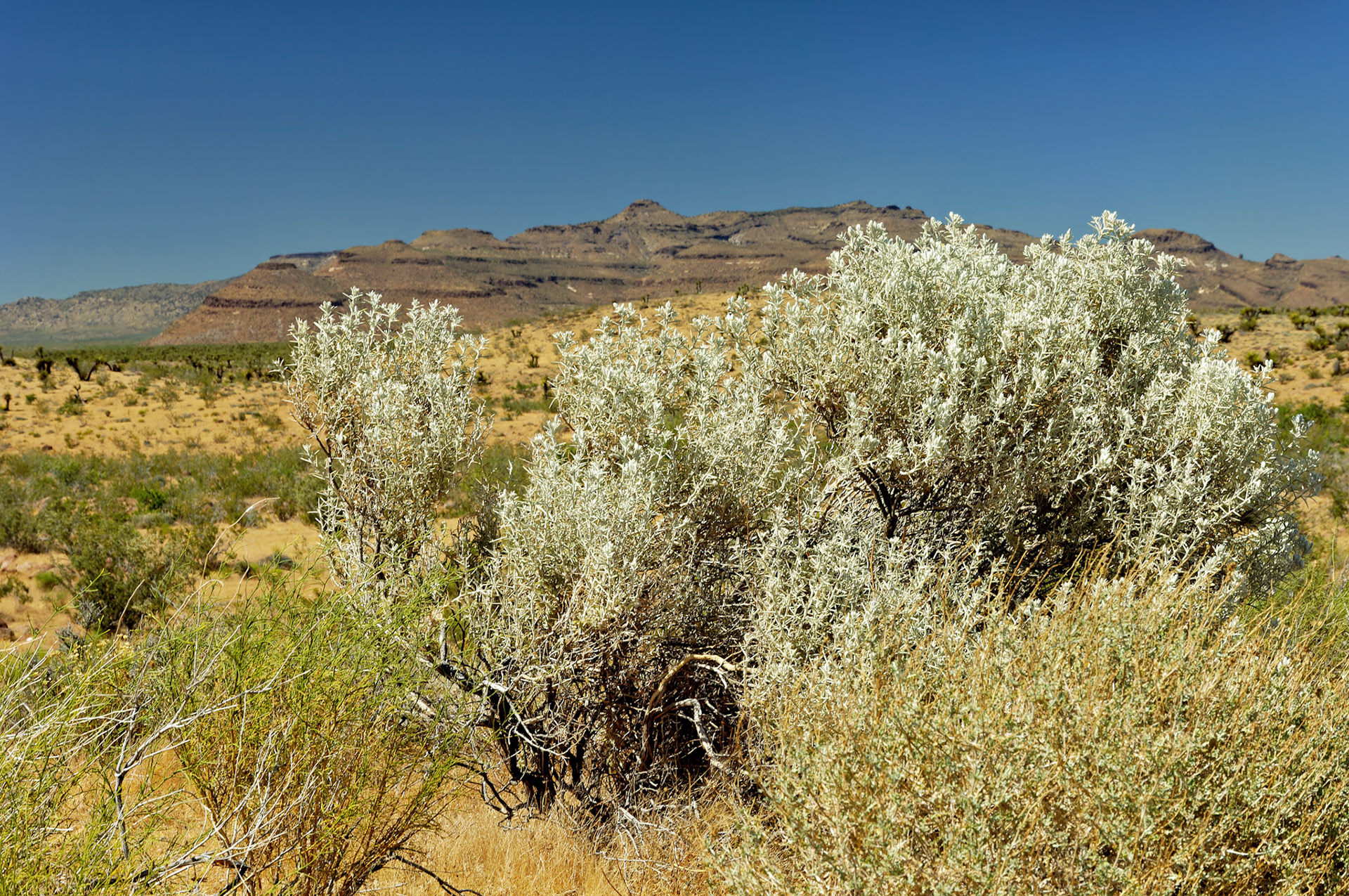 CA_20050614_0157_PS