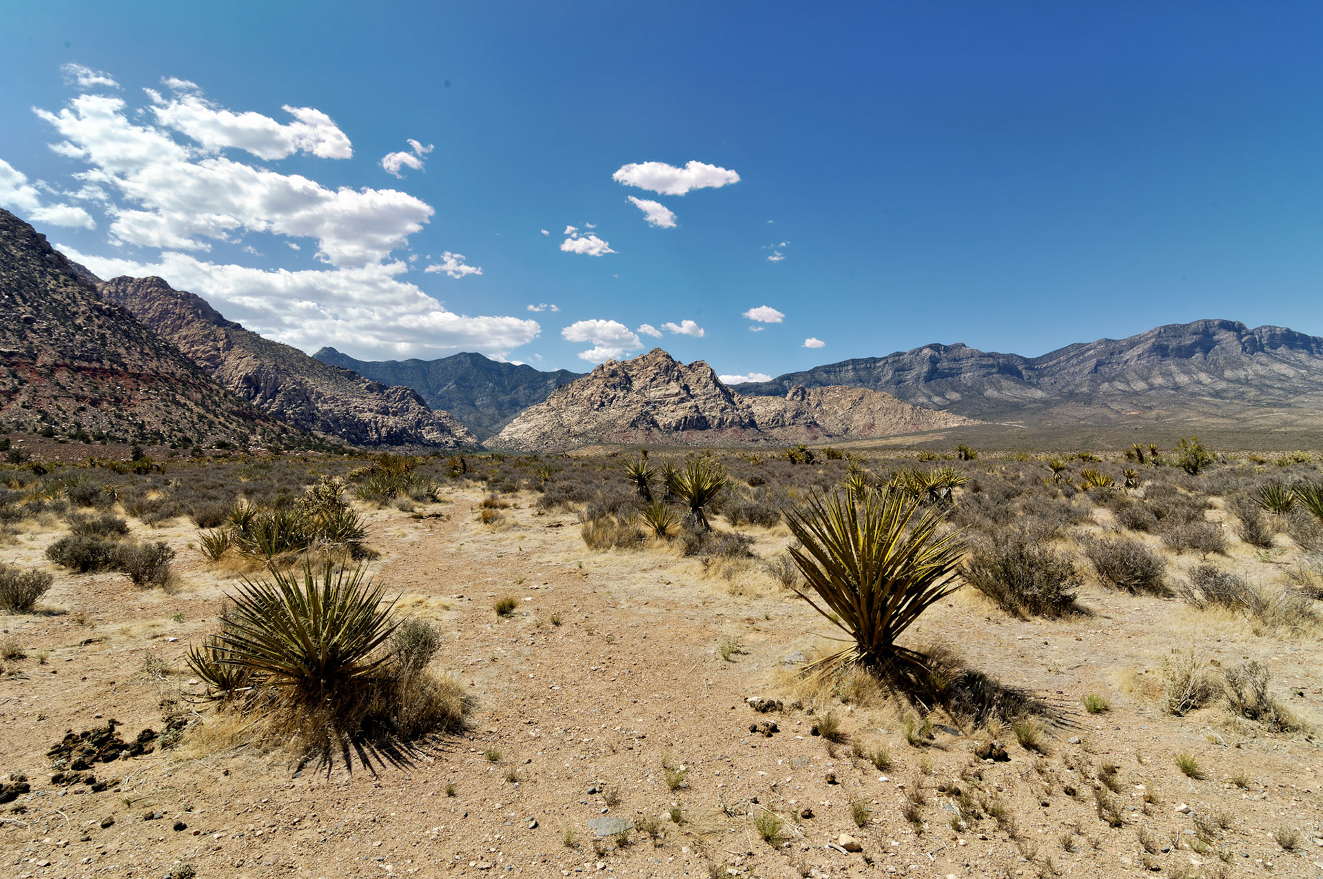 NV_20070531_0150_PS