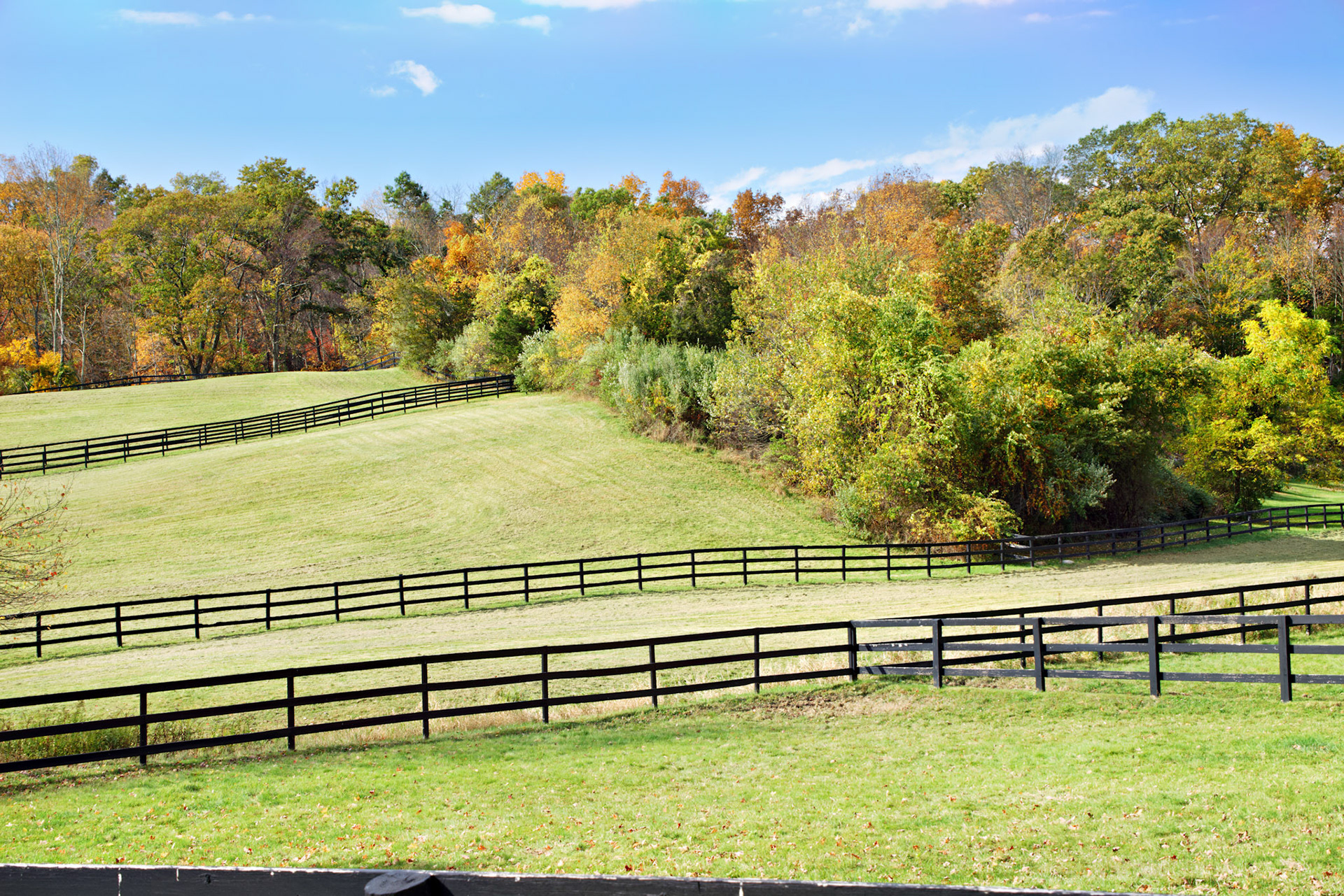 CT_20141018_0471_PS
