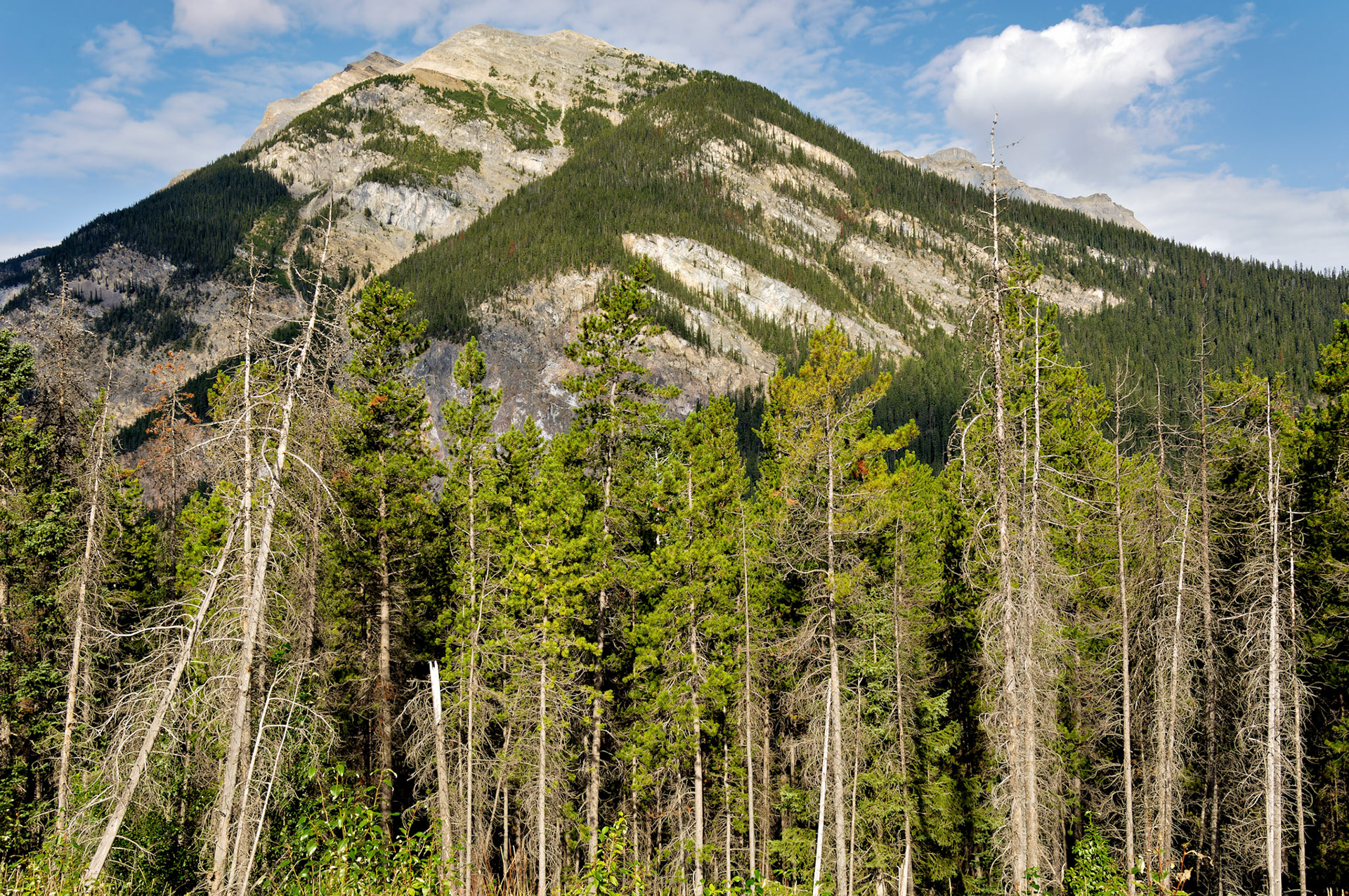 CN_20060803_0297_PS