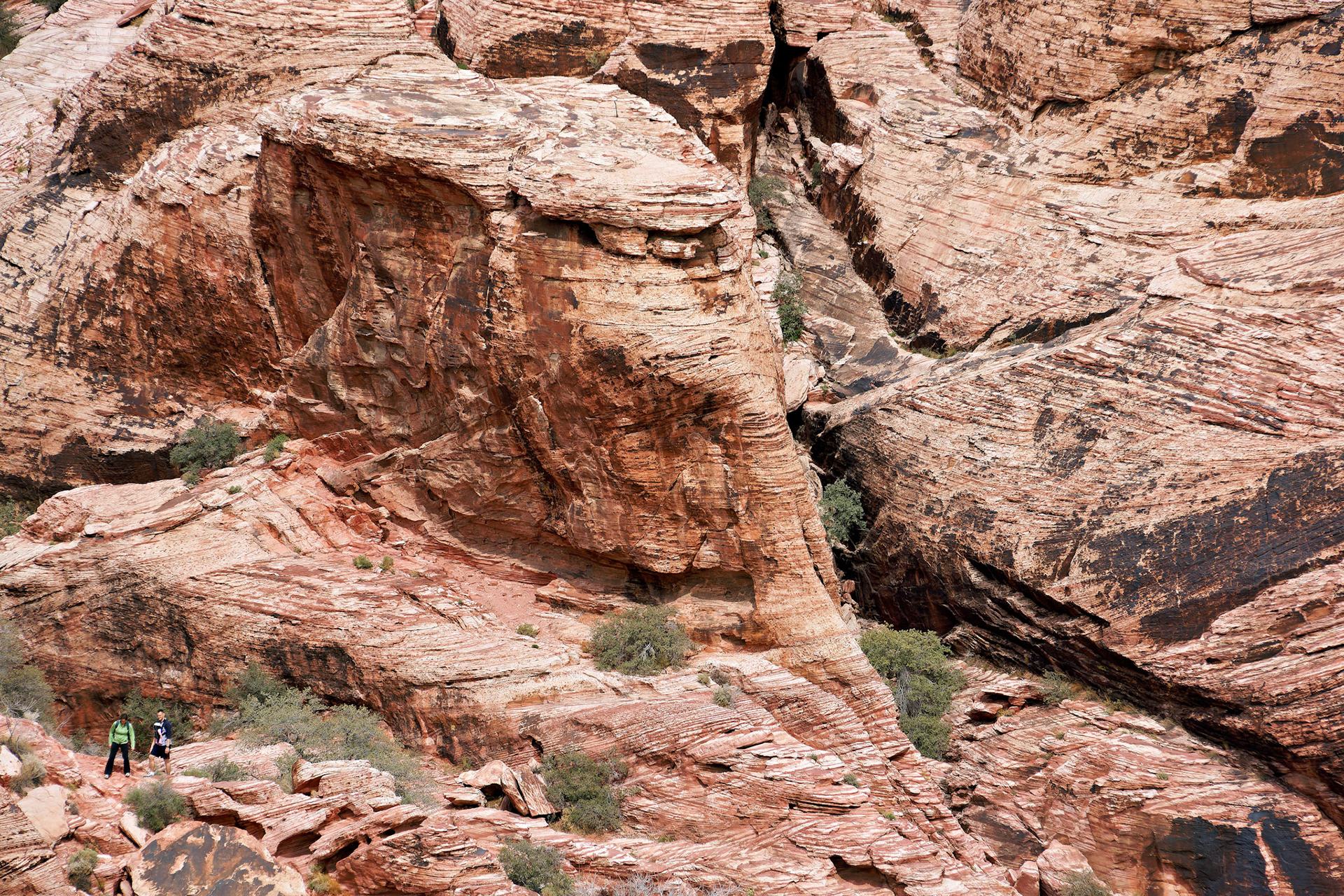 NV_Deserts_20120312_0047_PS.tif