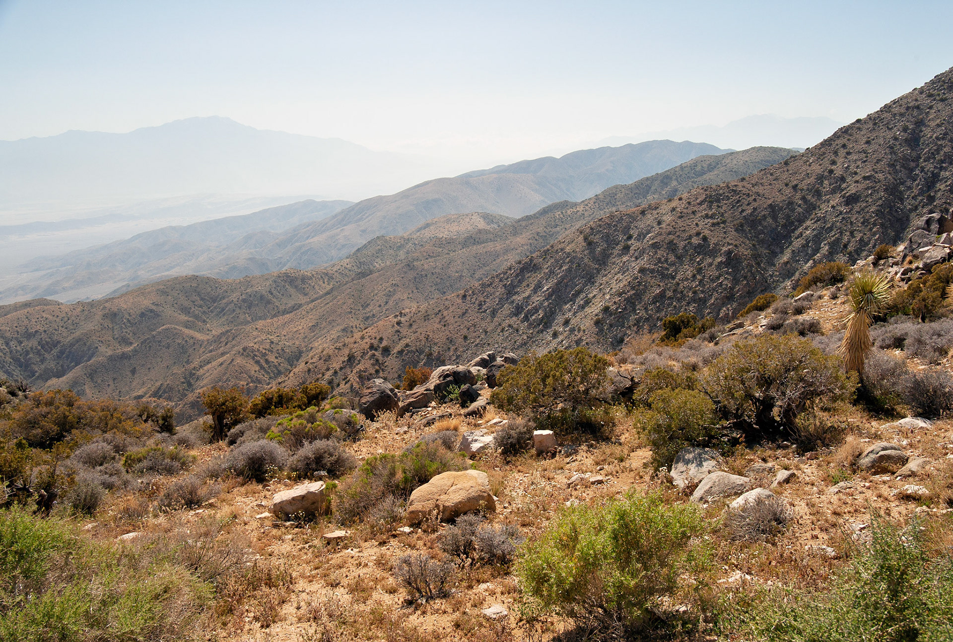 CA_JoshuaTree_20030514_0019_PS.dng